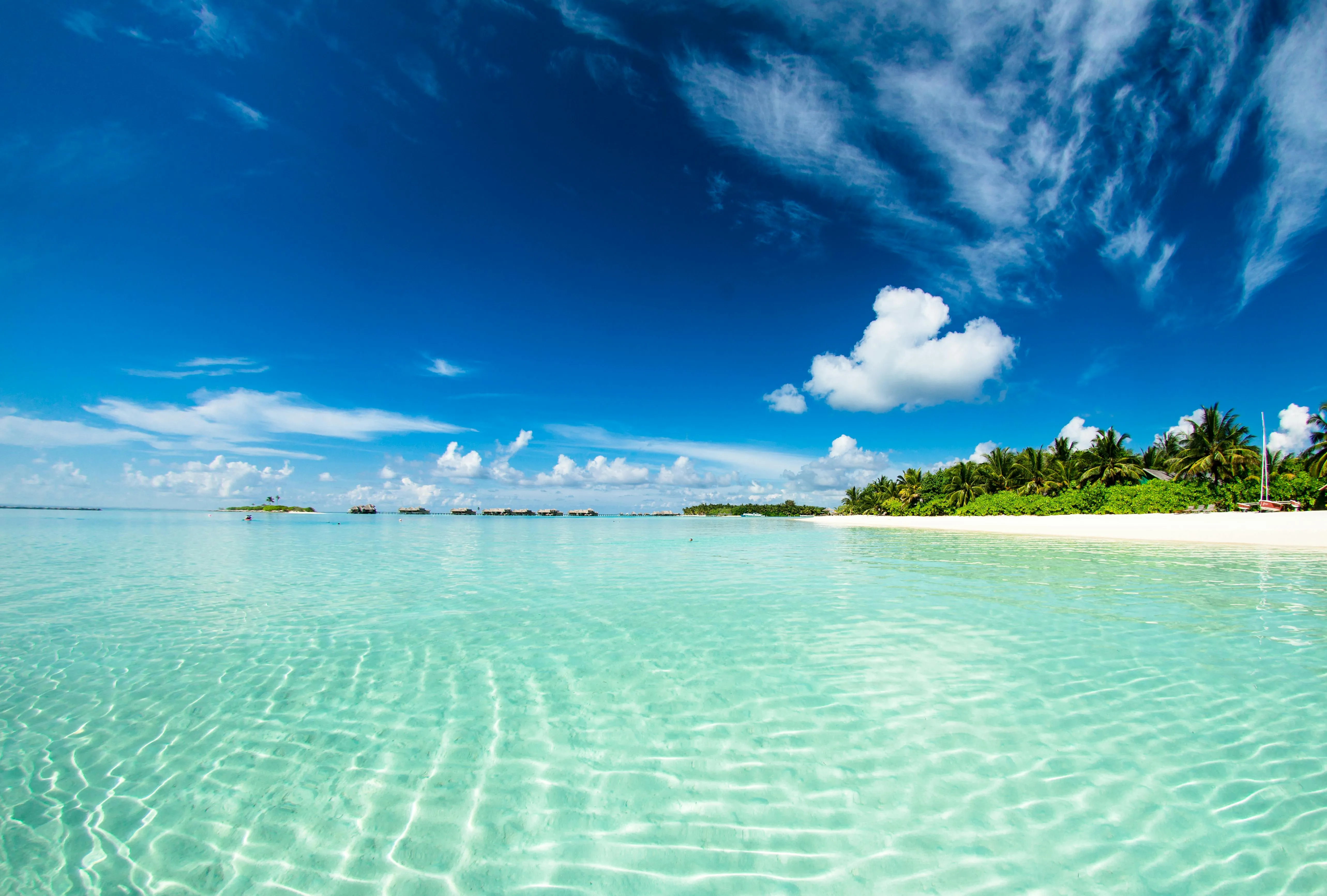 Crystal Clear Tropical Beach with Blue Sky Free Wallpaper