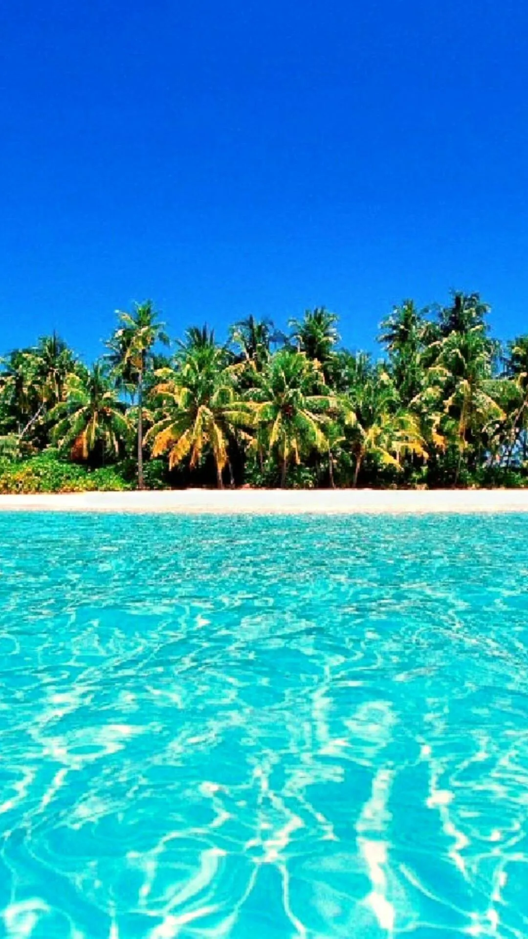 Crystal Clear Turquoise Water with Palm Trees Wallpaper
