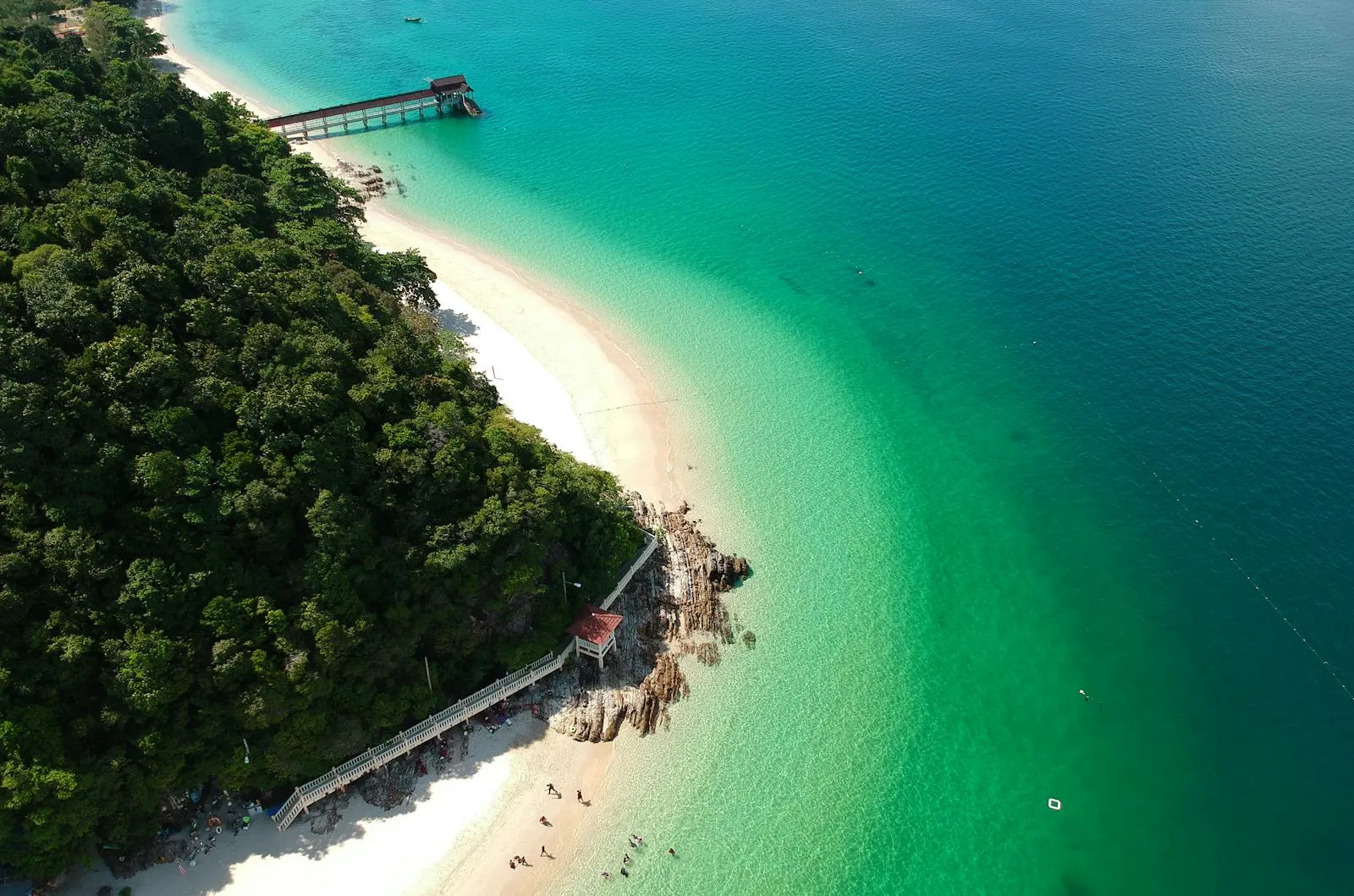 Curved Island Coastline with Forest and Green Seawater