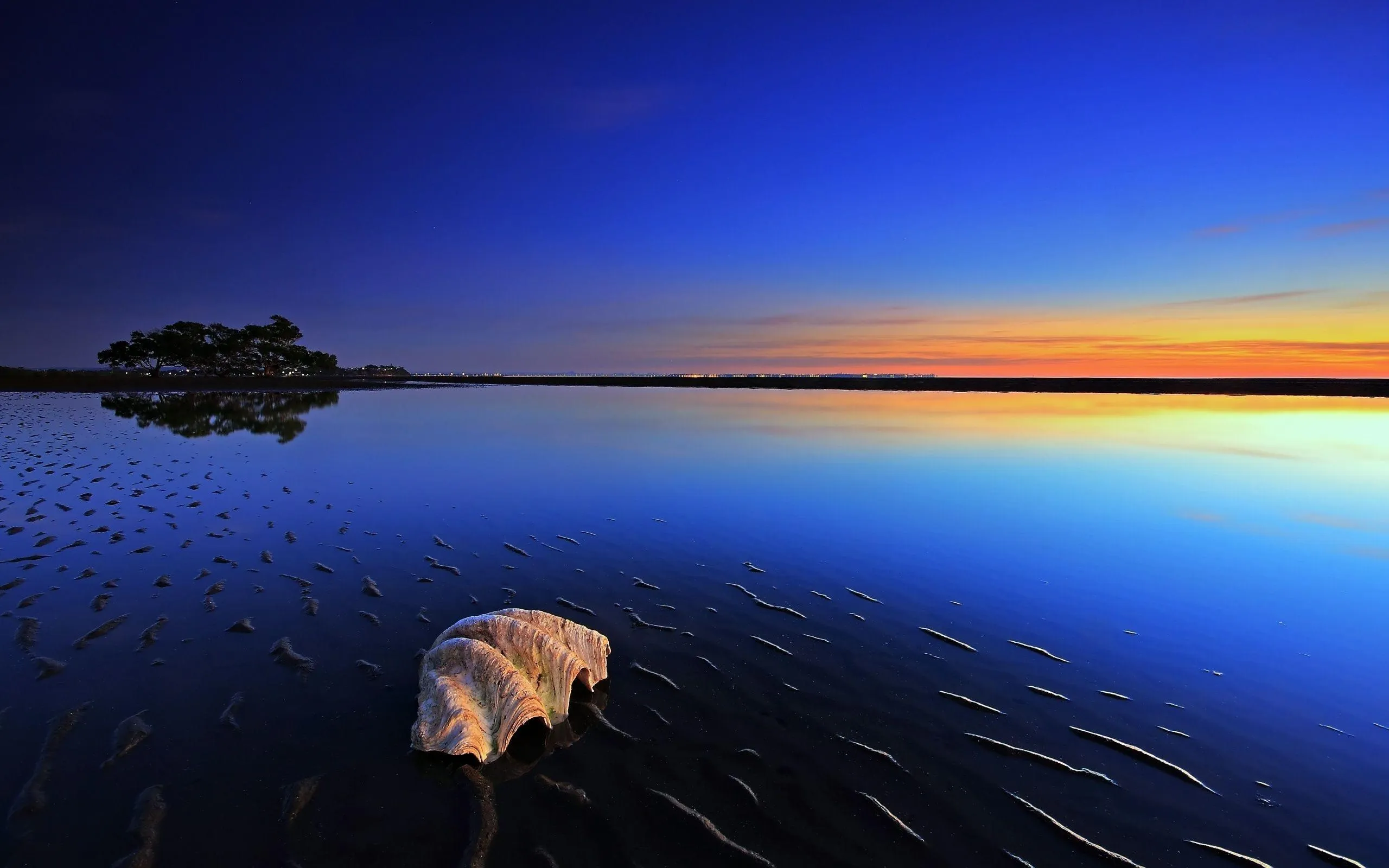Deep Blue Lake with Soft Reflections and Shells Wallpaper