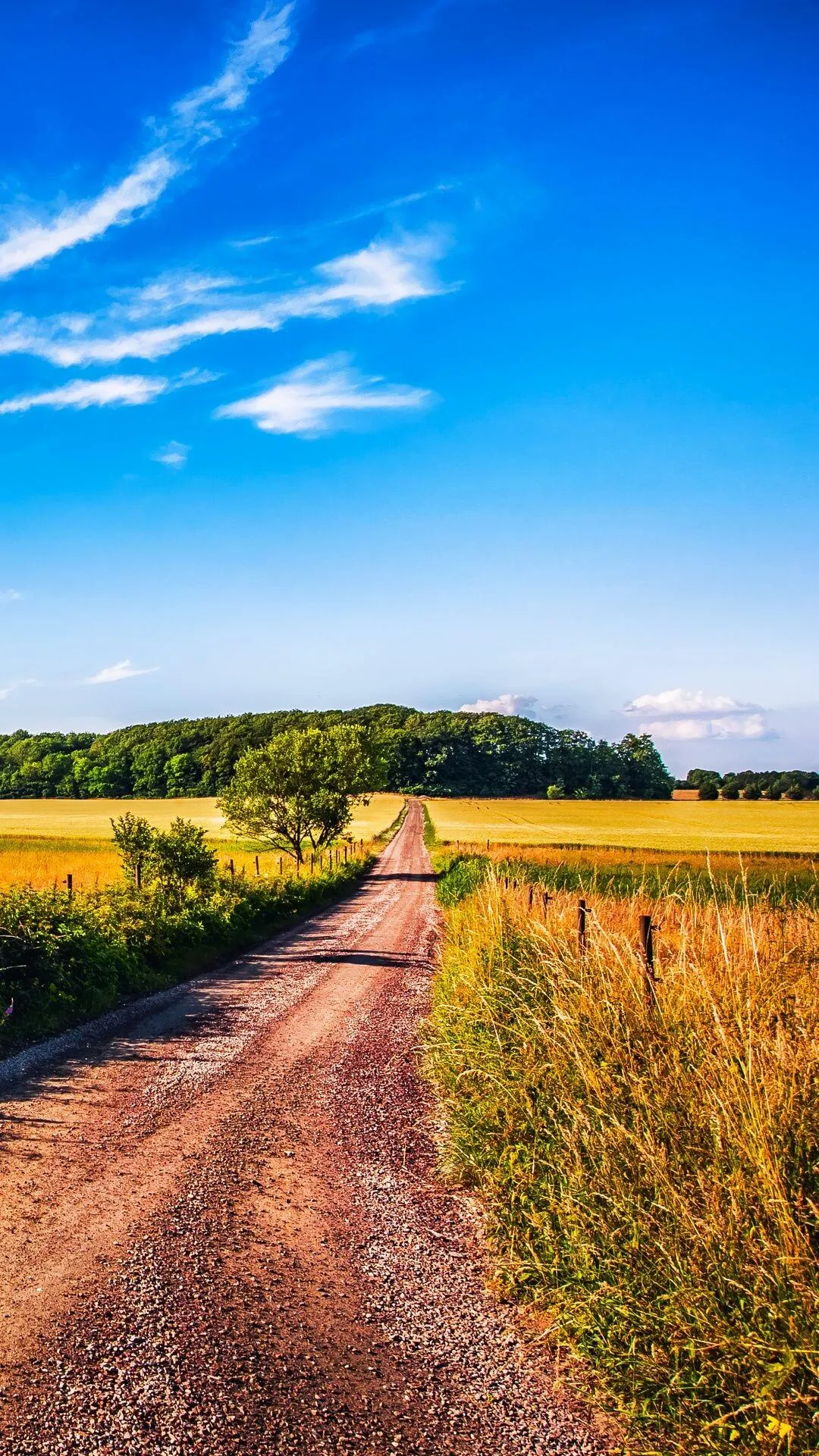 Dirt Path Through a Grassy Field Leading Toward an Ocean