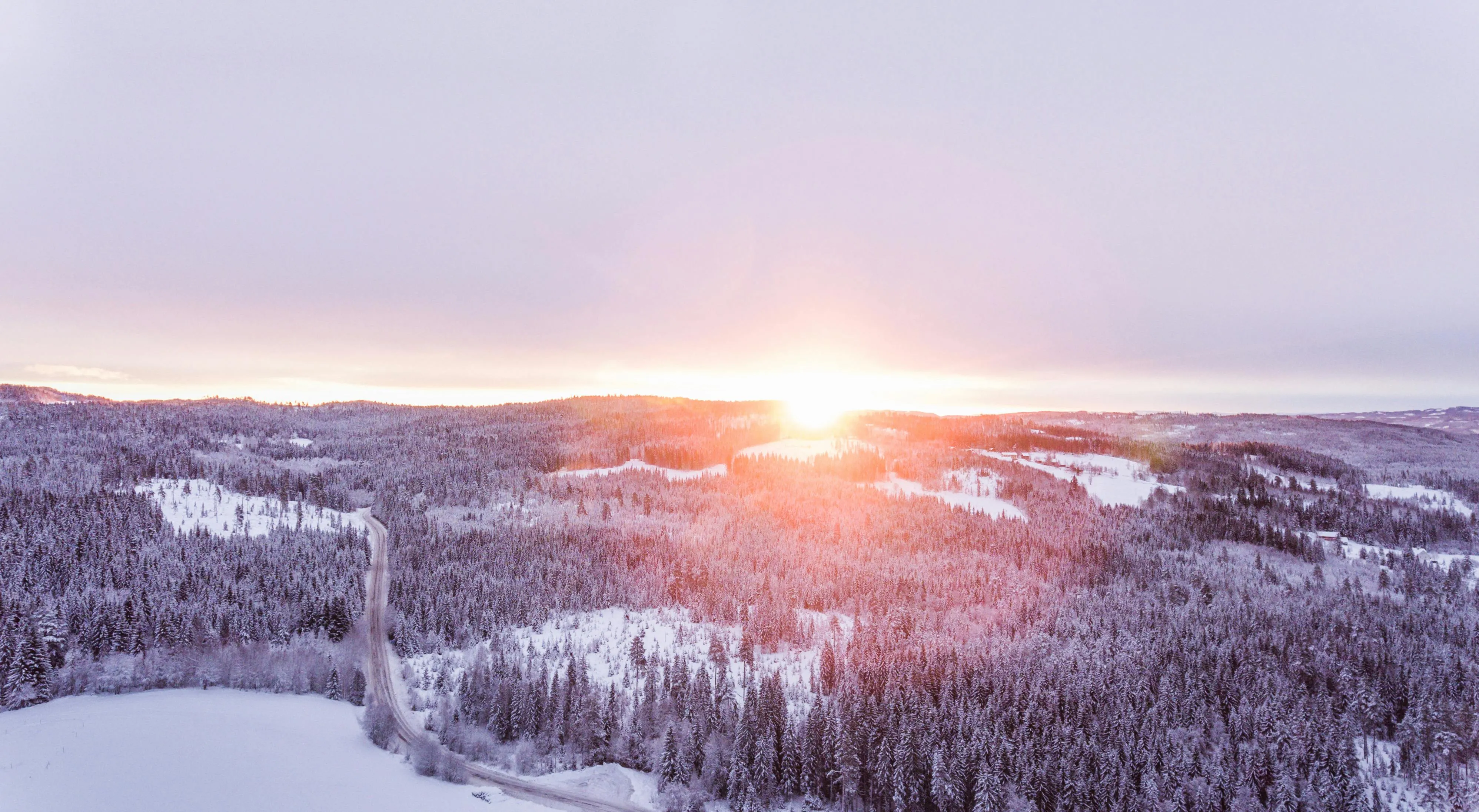 Download Winter Forest Sunrise Wallpaper in Ultra HD
