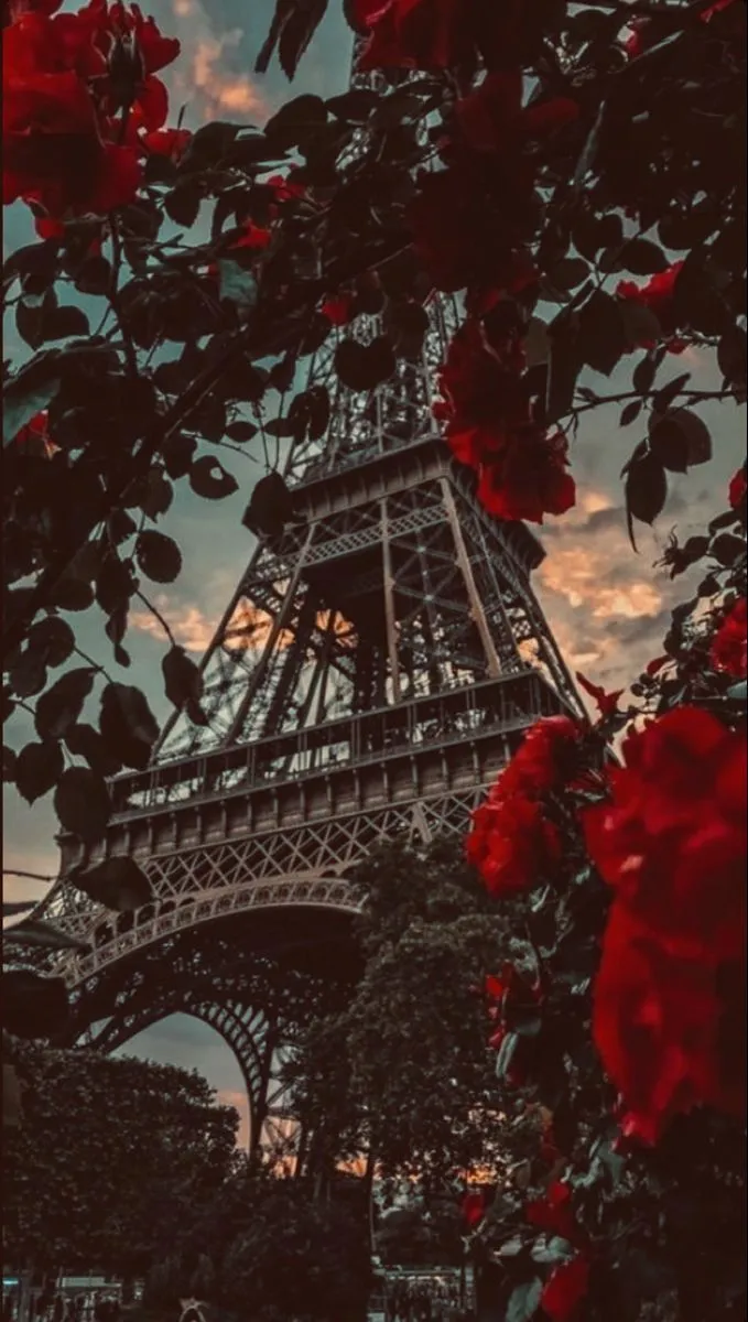 Eiffel Tower framed by roses in golden glow wallpapers