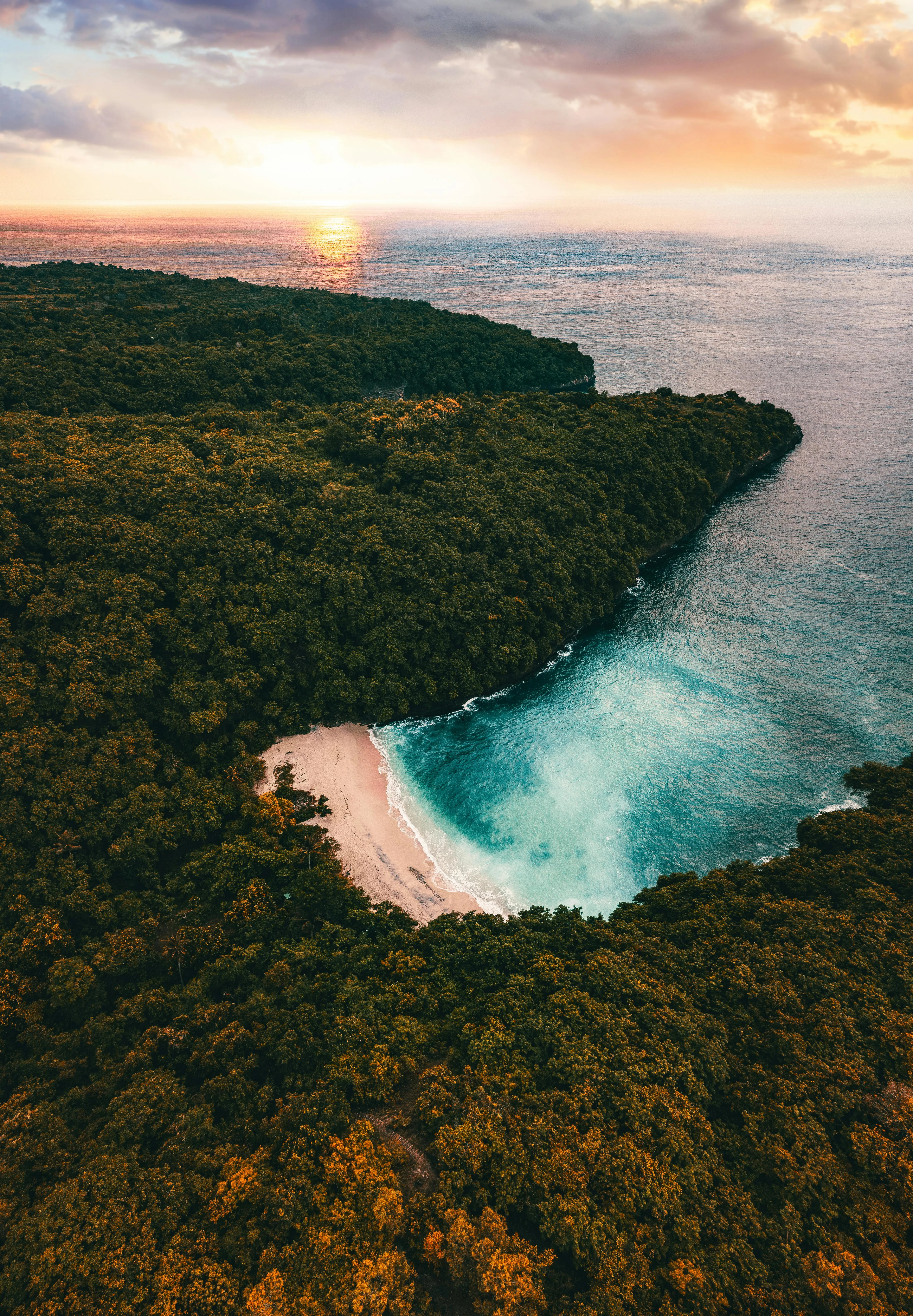 Forest Covered Island with White Beach and Ocean View