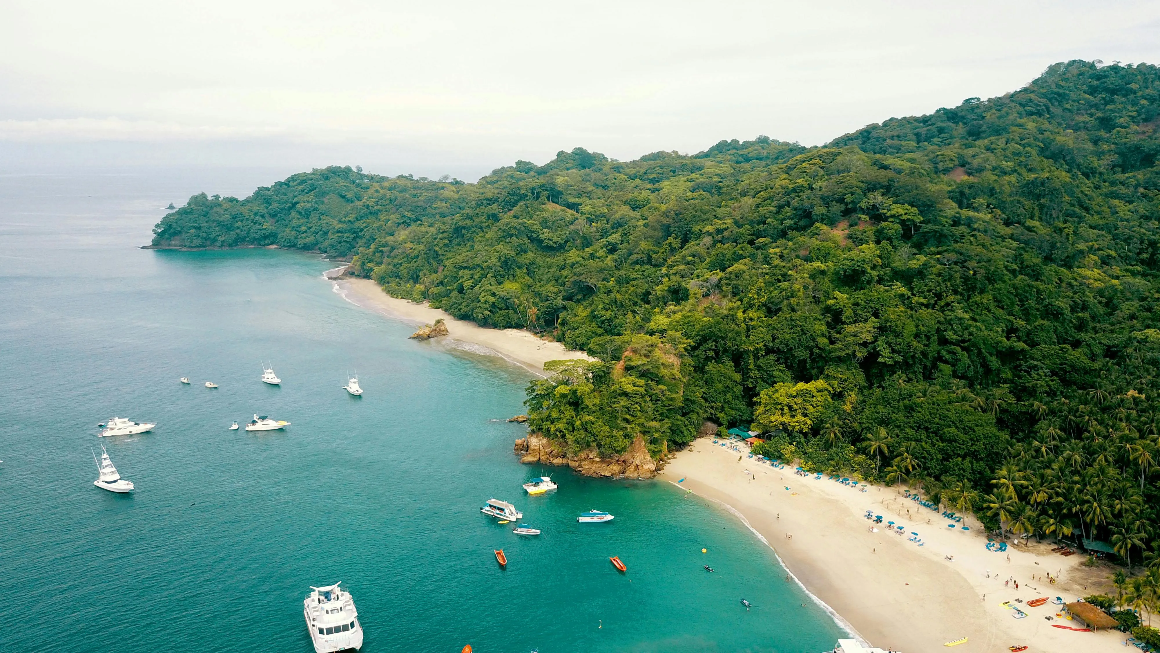Forested Coastline with Anchored Boats in Clear Water
