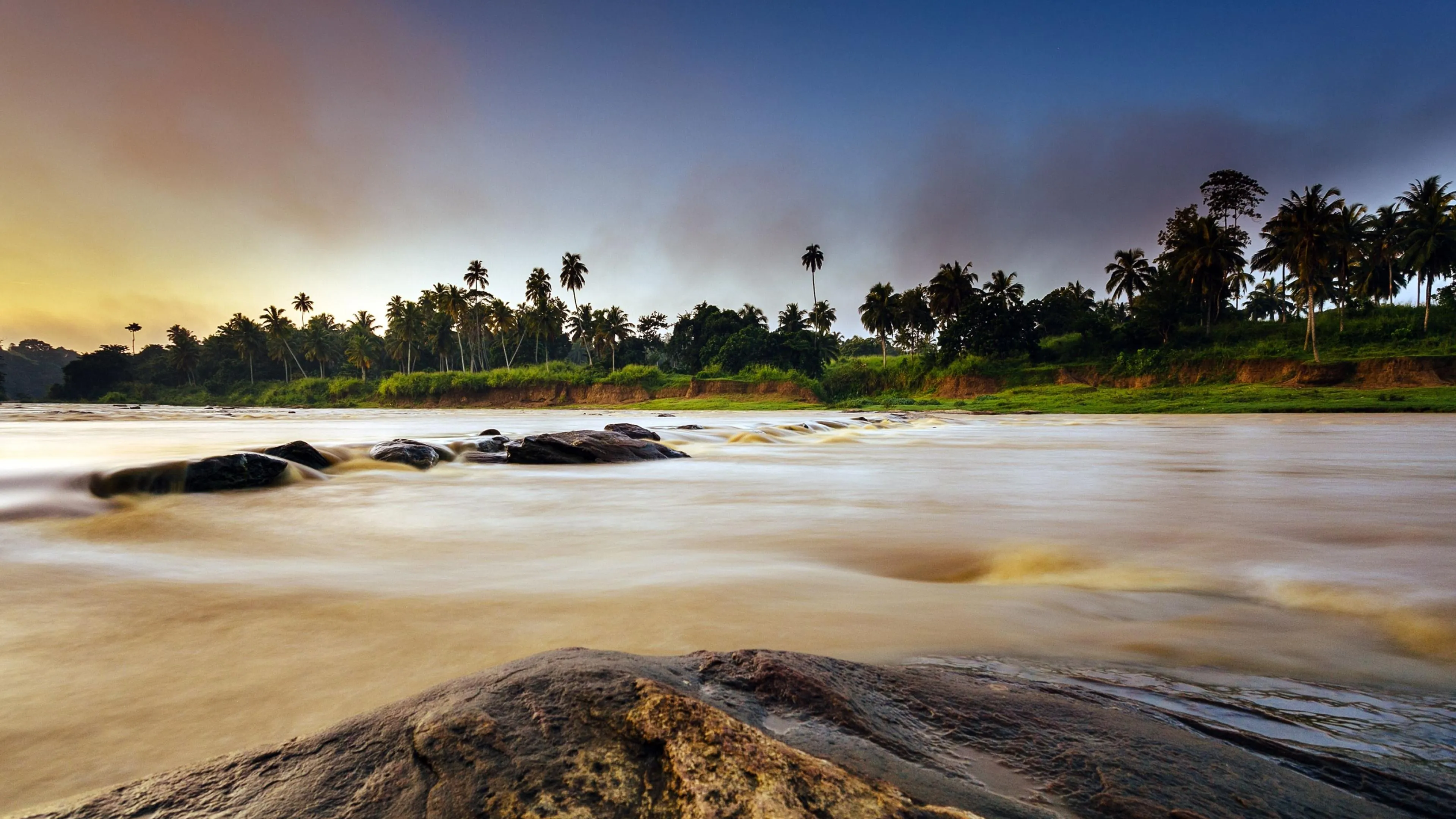 Golden Evening Sun over Calm Beach and Palm Trees Wallpaper