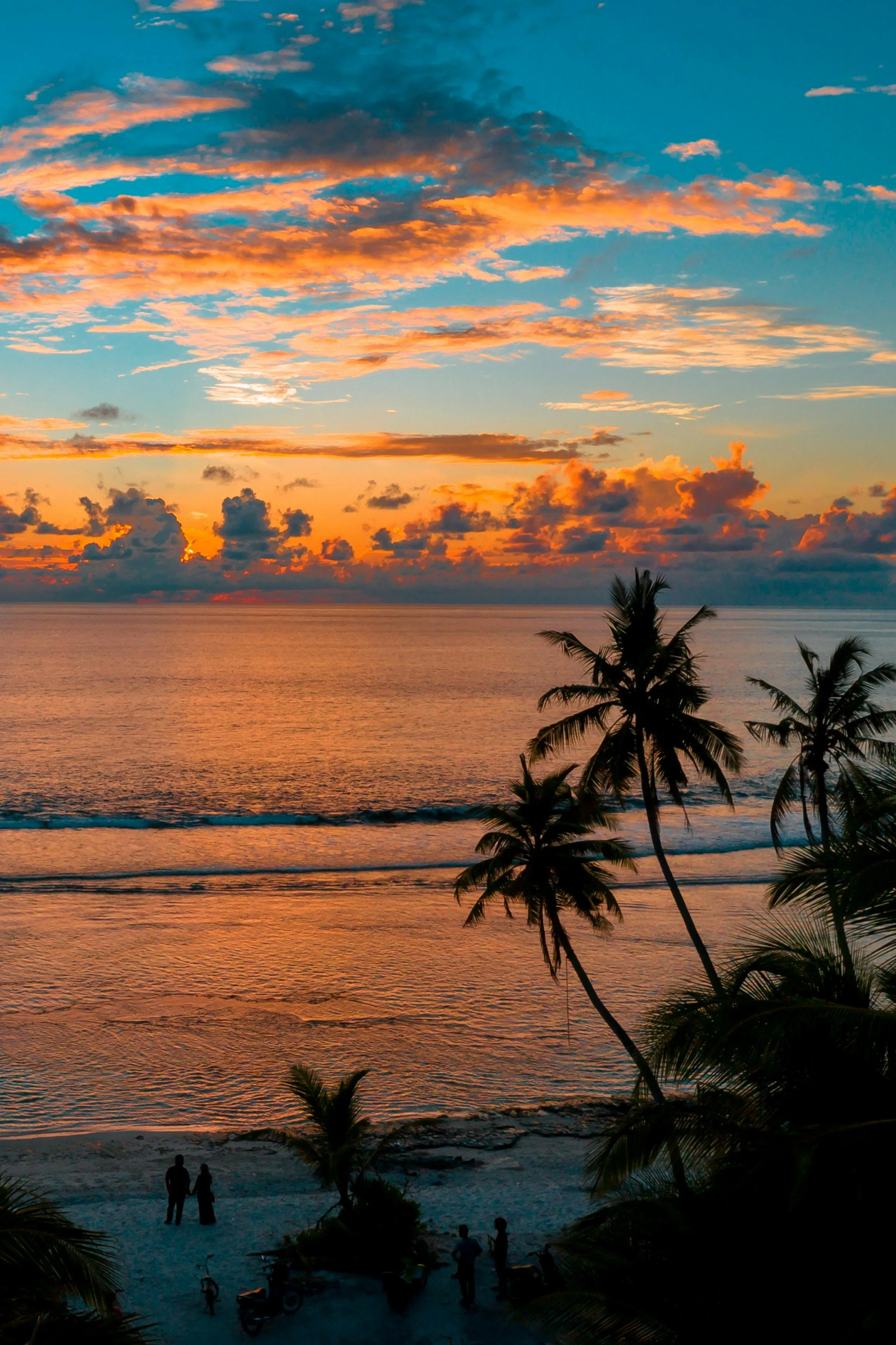Golden Sunset Beach View with Palm Trees and Soft Waves