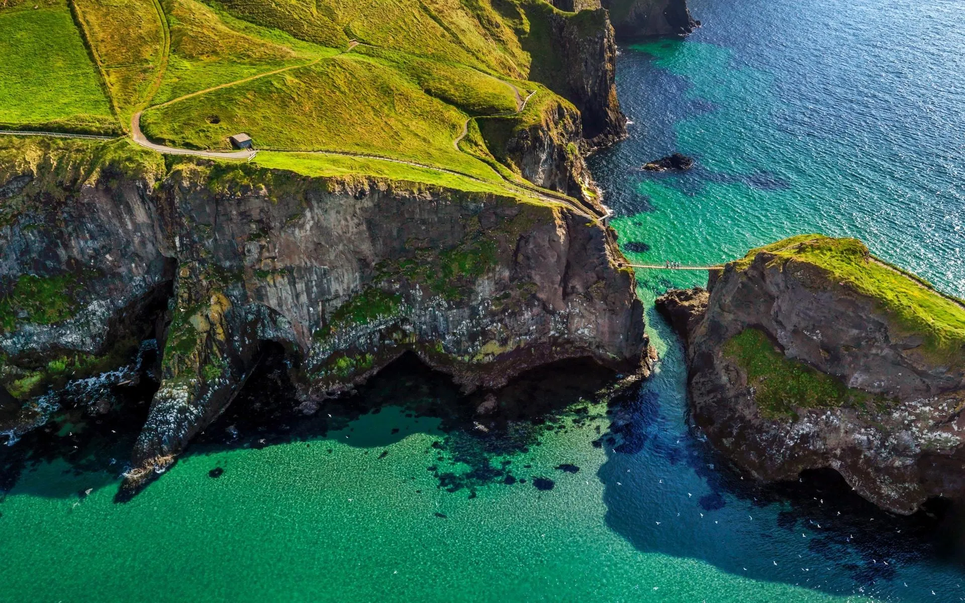 Green Coastal Cliffs Rising Above a Deep Blue Island