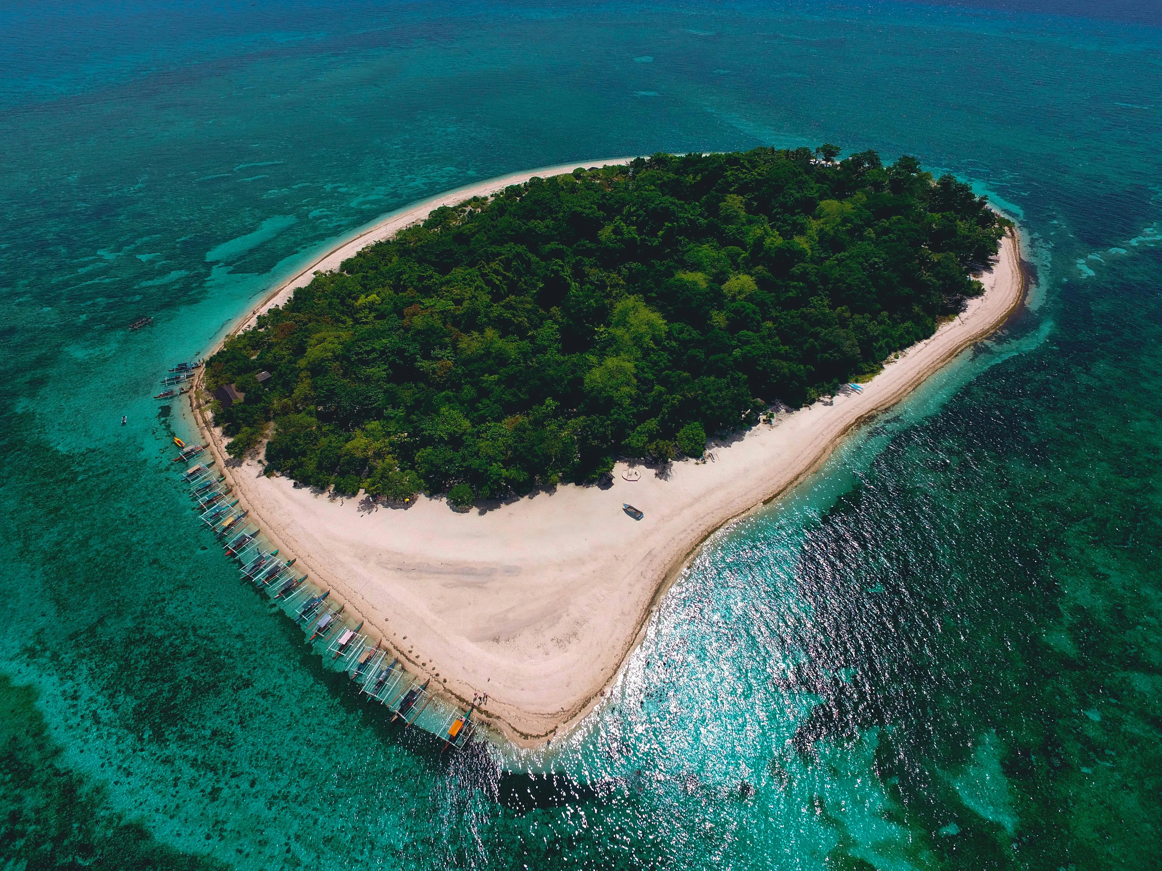 Green Forest Island Surrounded by Shallow Turquoise Waters