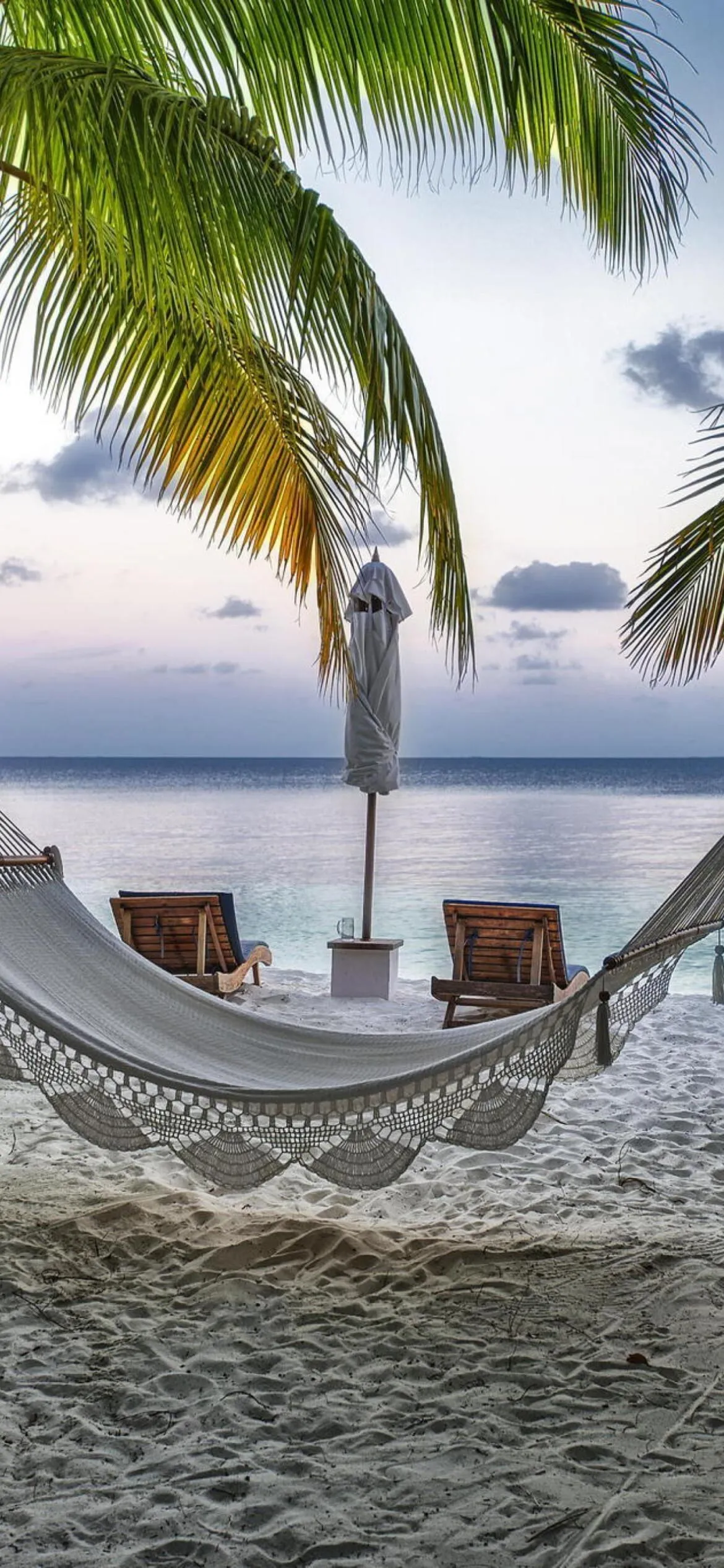 Hammock Between Palms with View of Beach and Sea Wallpaper