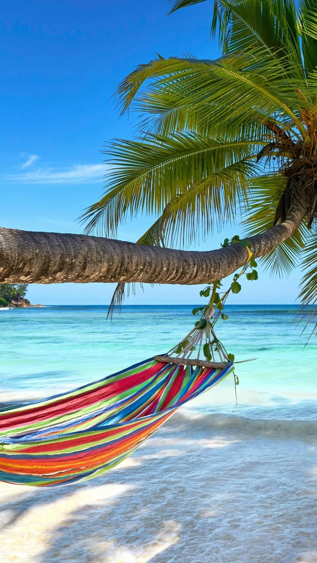 Hammock on Tropical Beach with Colorful Seawater Wallpaper