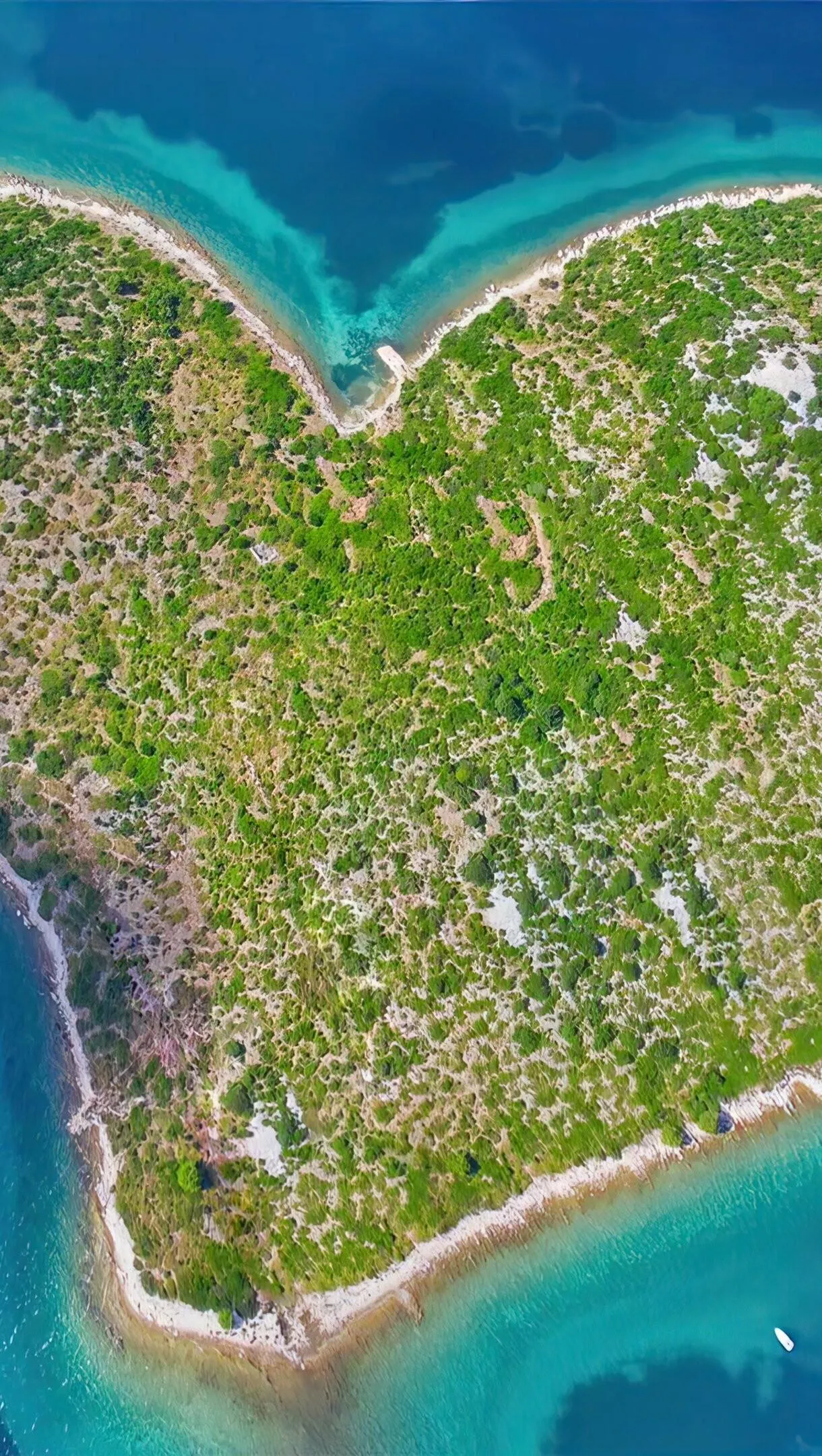 Heart Shaped Island with Shoreline and Green Tropical Land