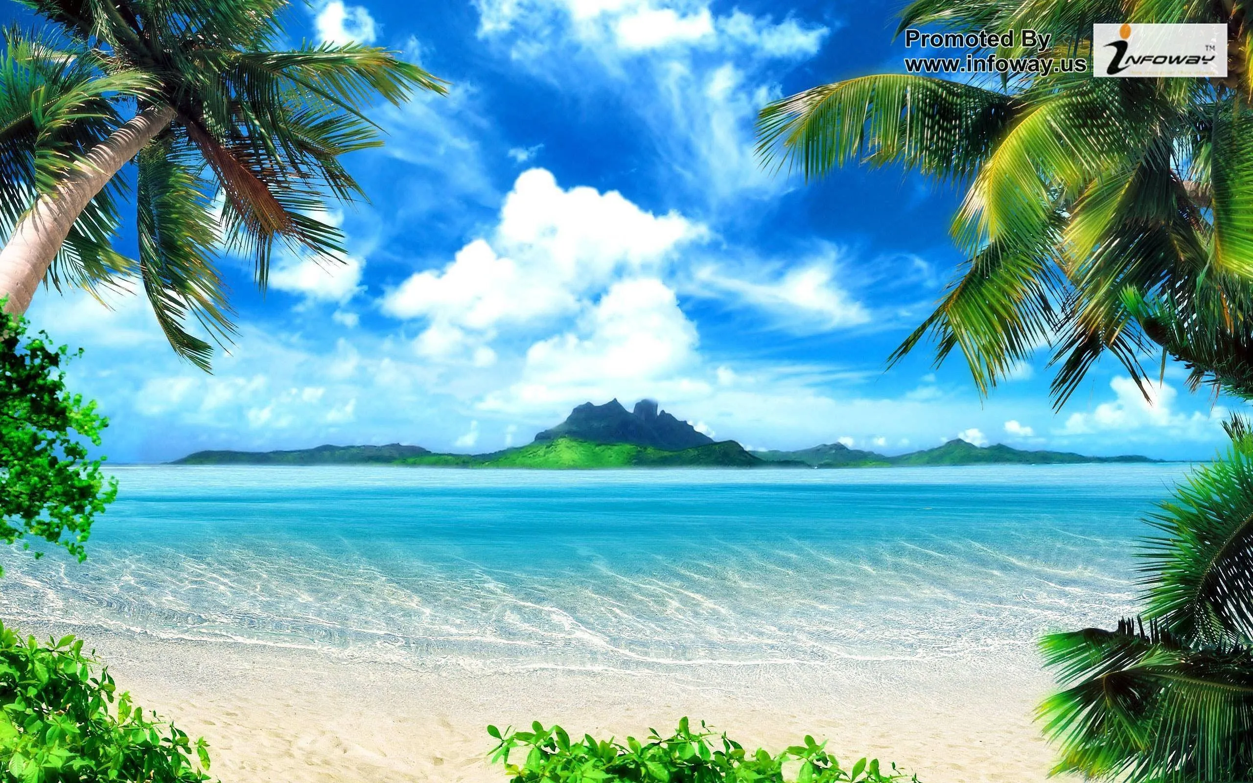 Island Beach with Green Trees and Sunny Sky Free Wallpaper