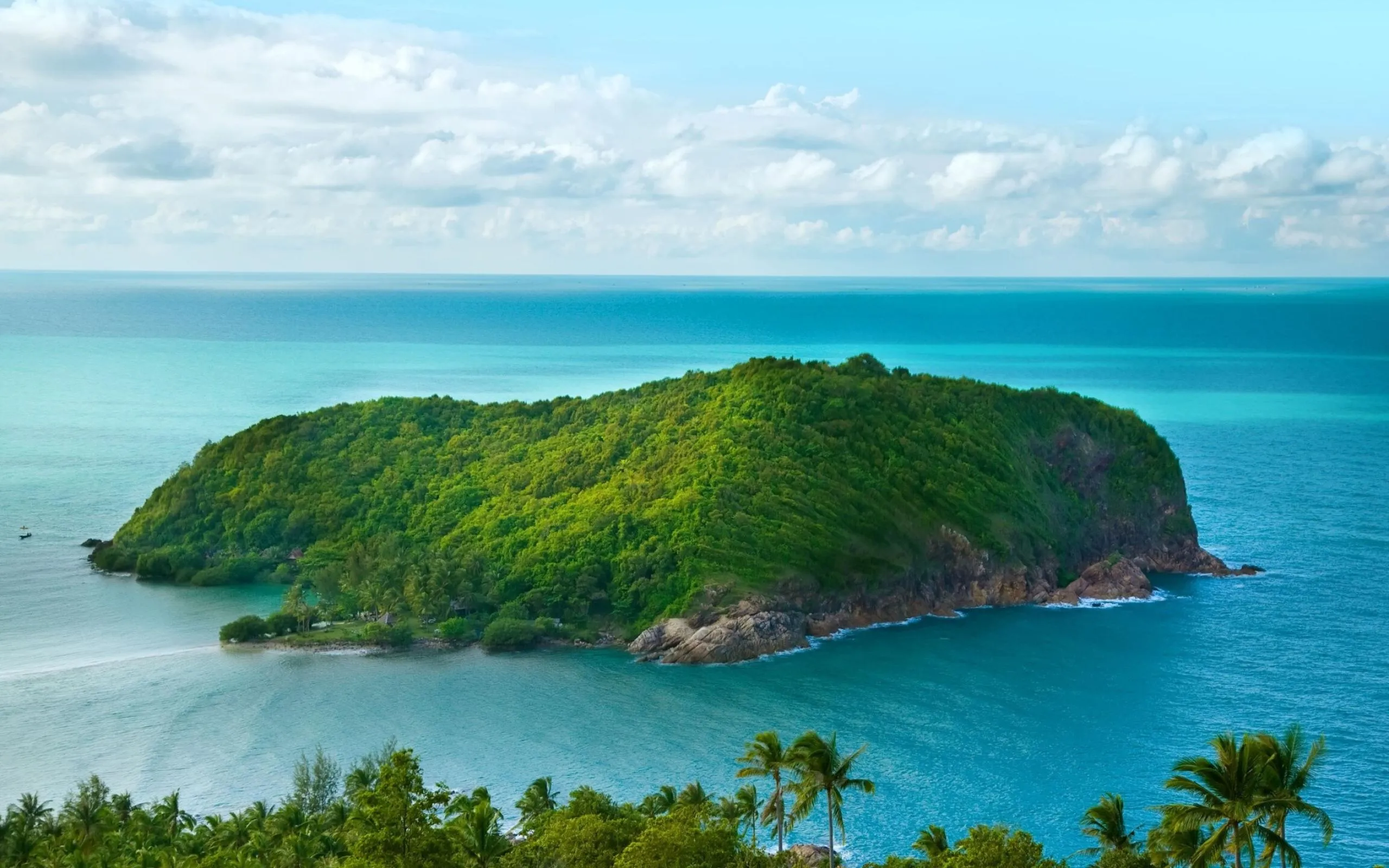 Island Covered in Trees Surrounded by Blue Ocean Wallpaper