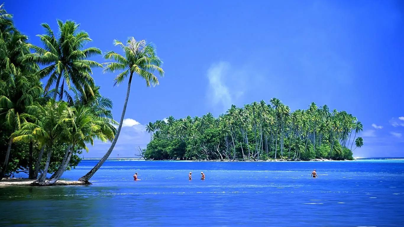 Island with Palm Trees Surrounded by Blue Sea Free Wallpaper