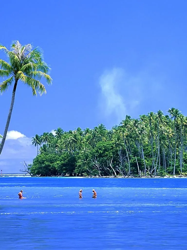 Kayakers Paddling on Clear Blue Water Near a Lush Island