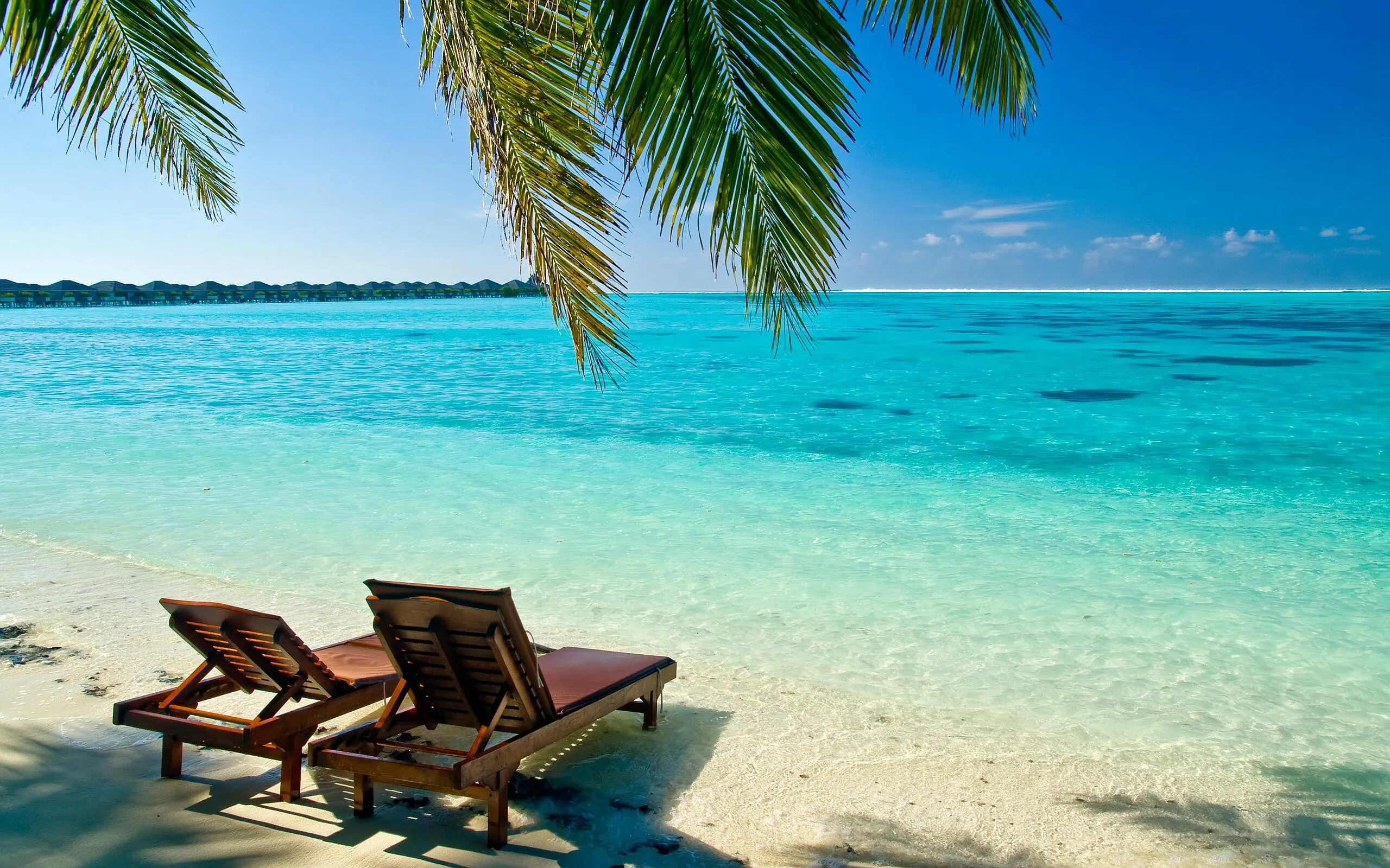 Lounge Chairs on the Beach Facing a Turquoise Ocean