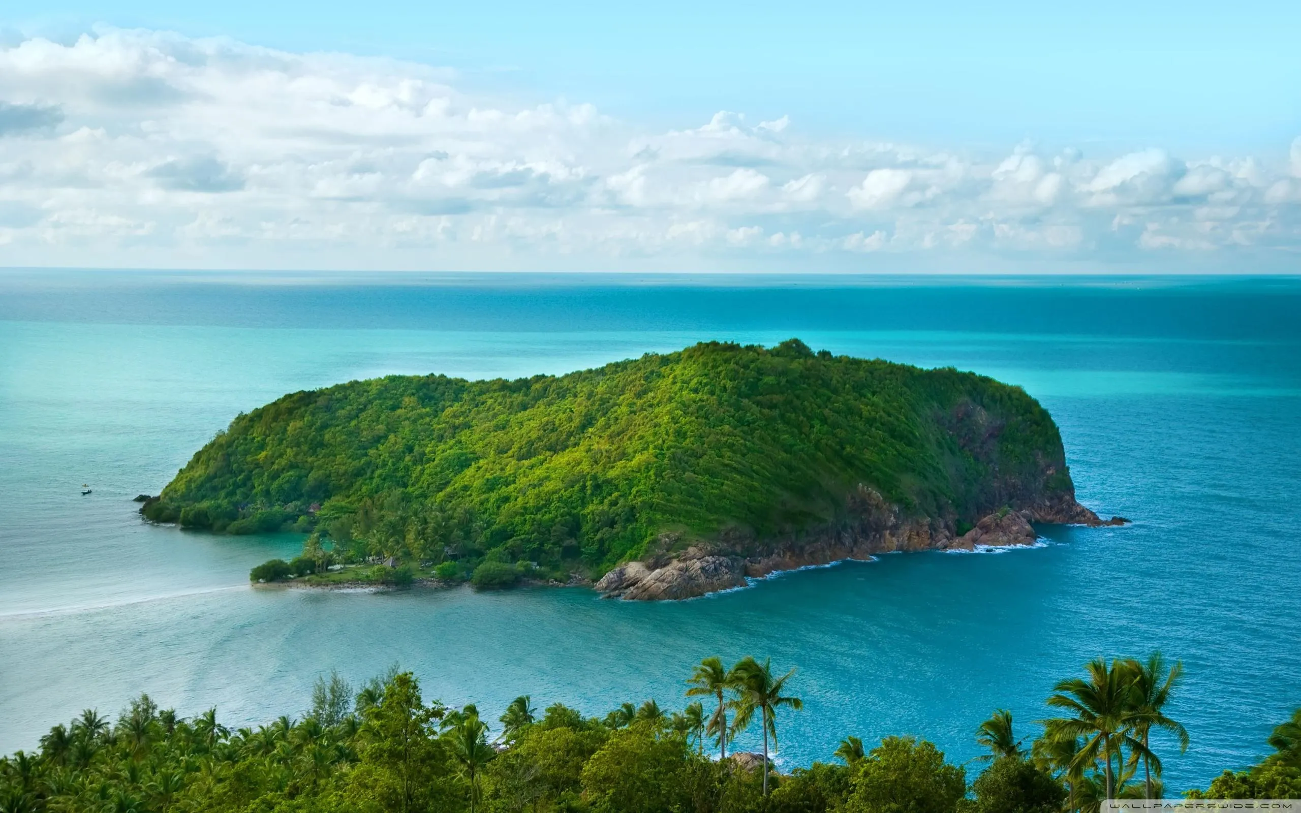 Lush Green Island in the Calm Blue Ocean Water Wallpaper