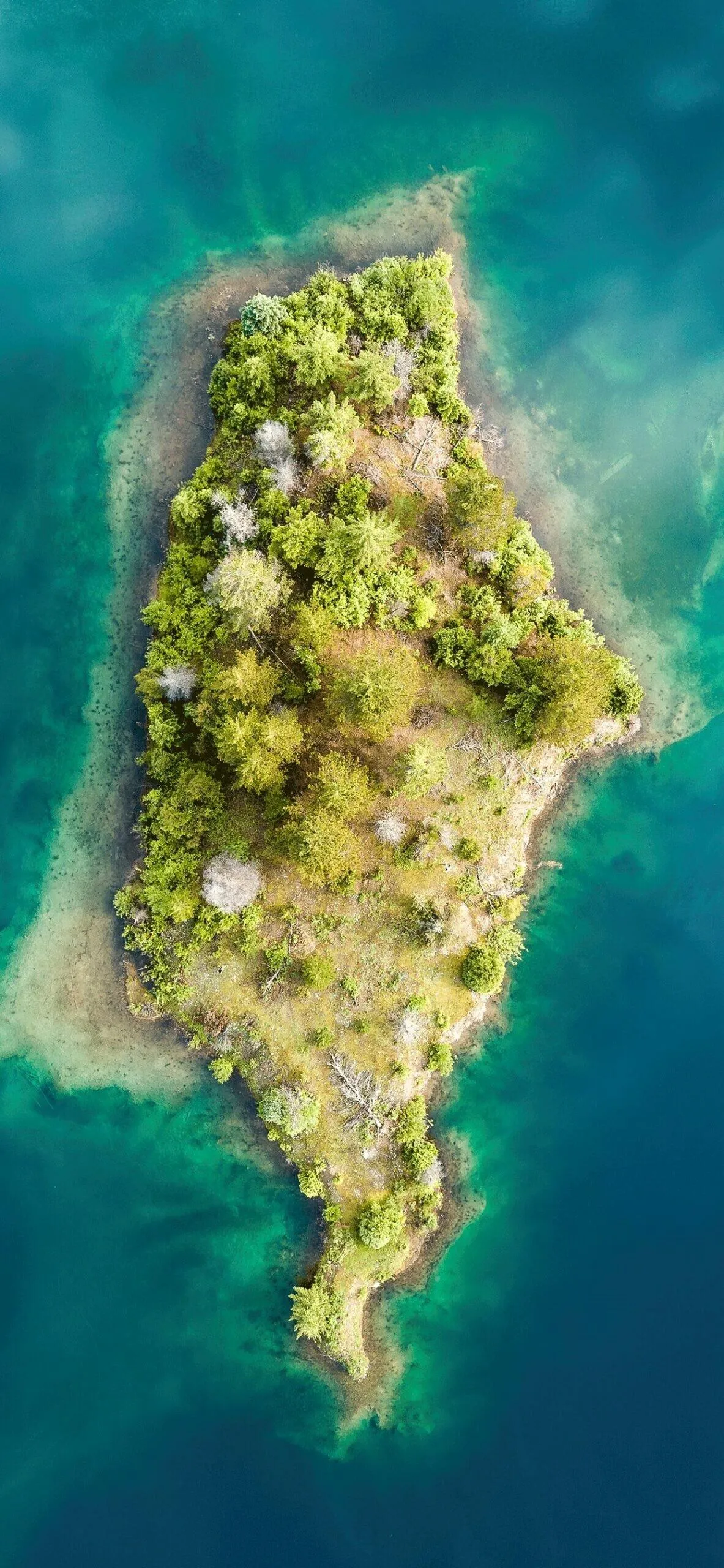 Lush Green Island Covered with Trees with Clean Water
