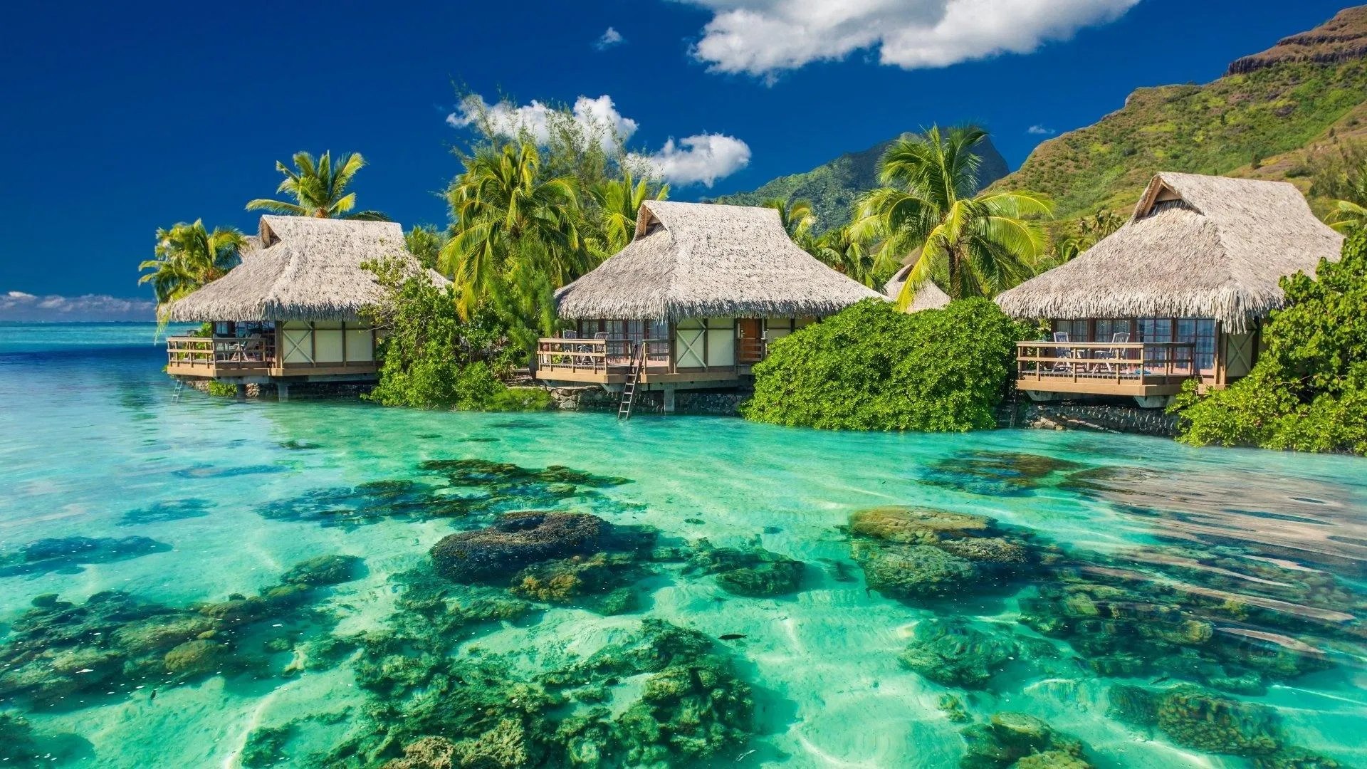 Luxury Overwater Bungalows Sitting Above the Bright Blue Sea
