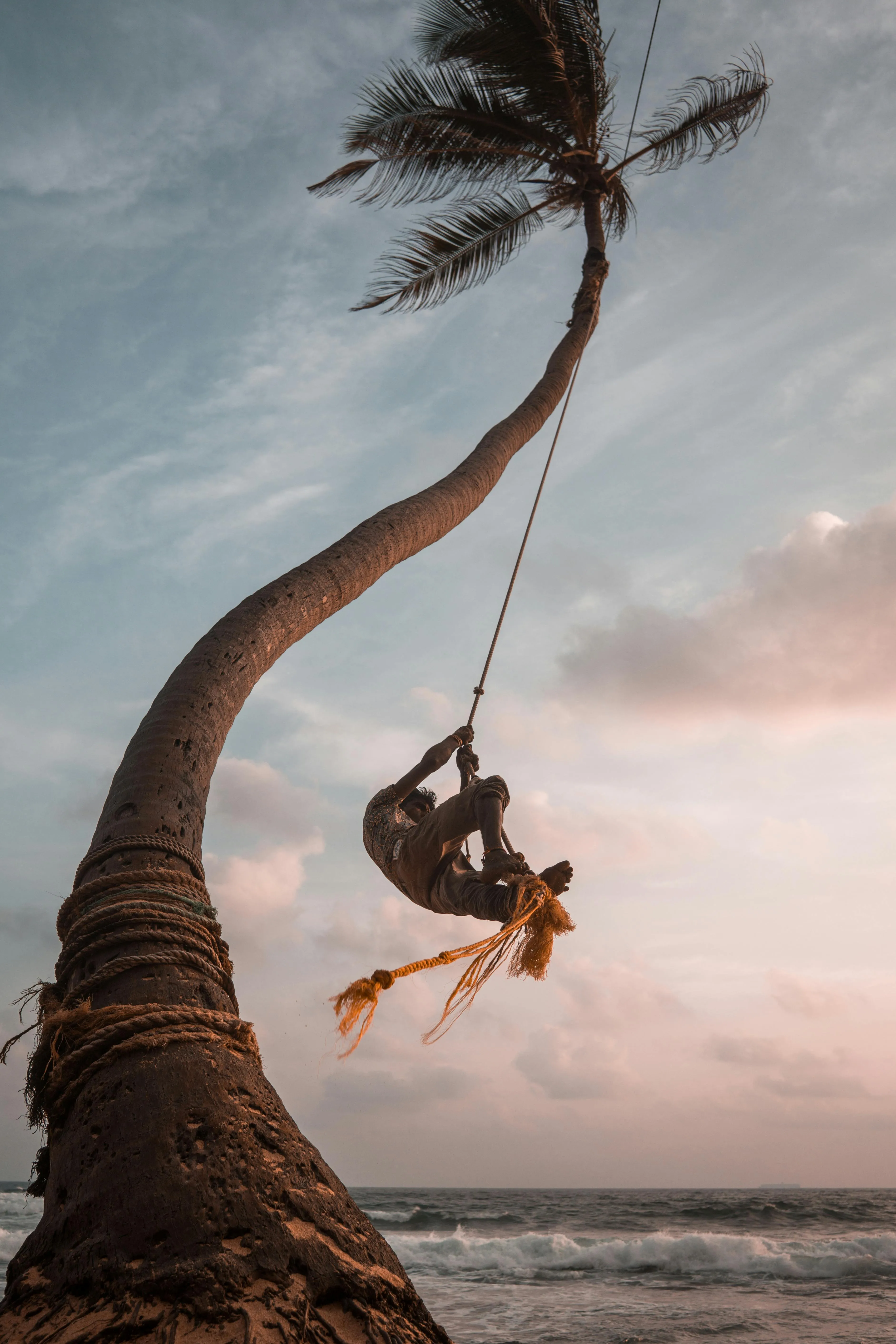 Man Swinging from a Palm Tree Above the Beach at Sunset