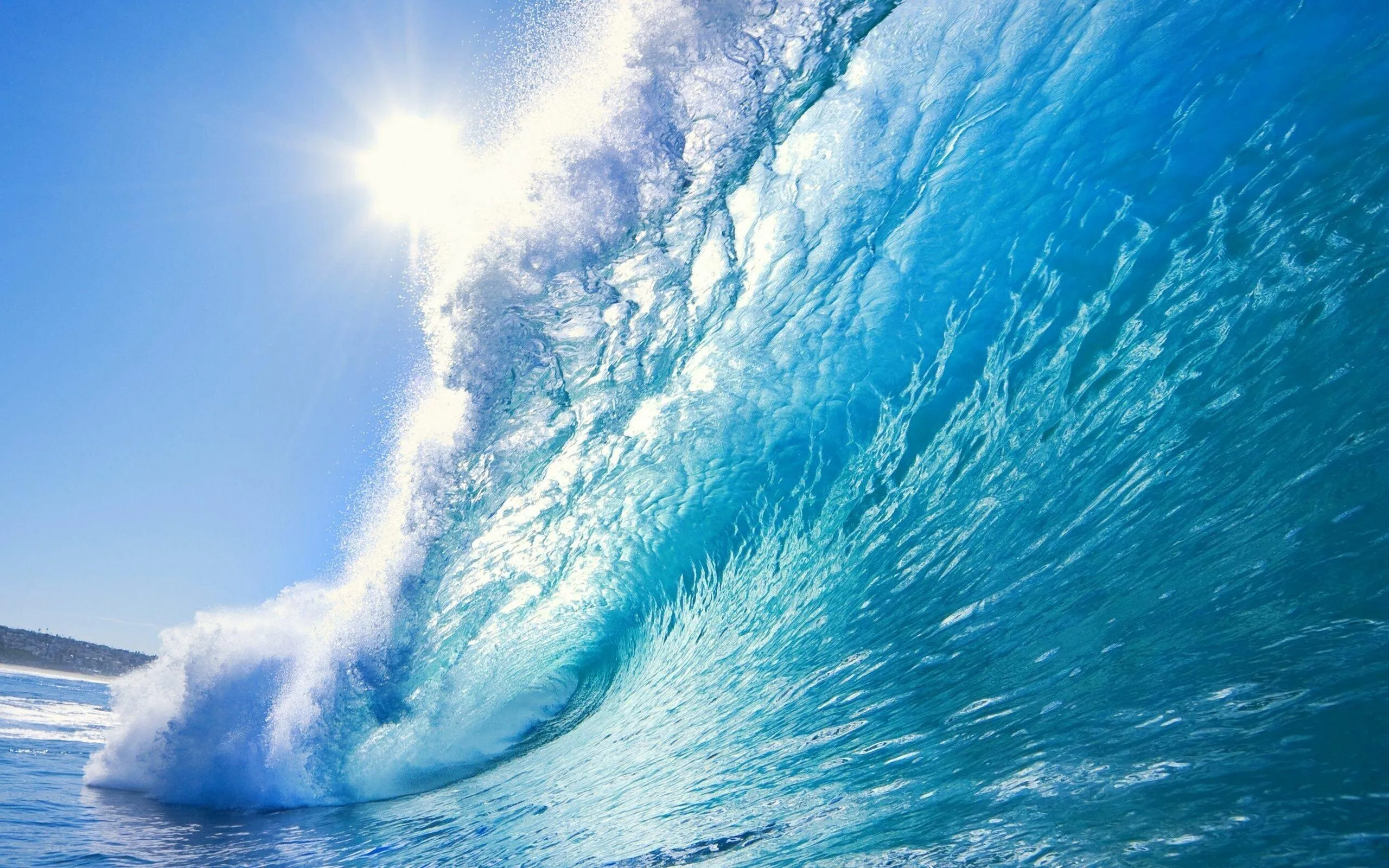 Massive Ocean Wave Curling over Under Sunny Sky Wallpaper