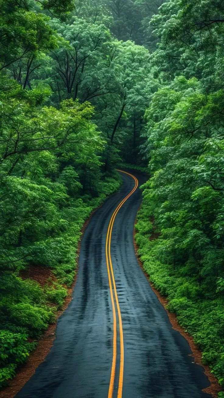 Mountain Wallpapers Sunrise Campfire Glow