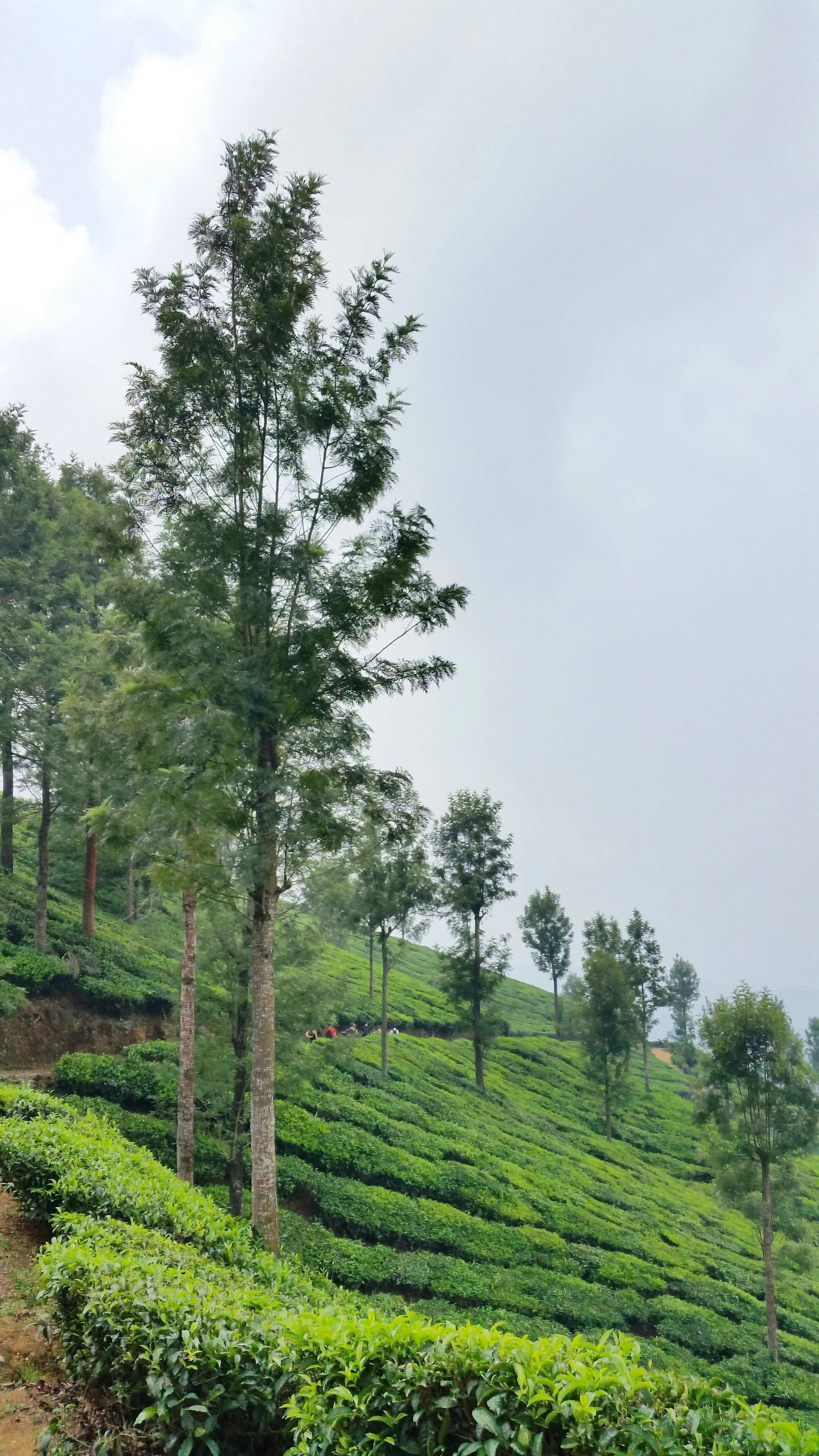 Mountain Wallpapers Distant Blue Haze