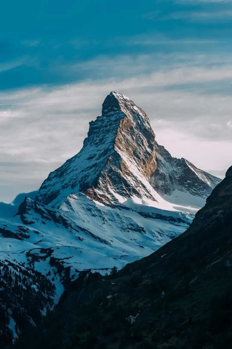 Mountain Wallpapers Pines in Golden Sunset