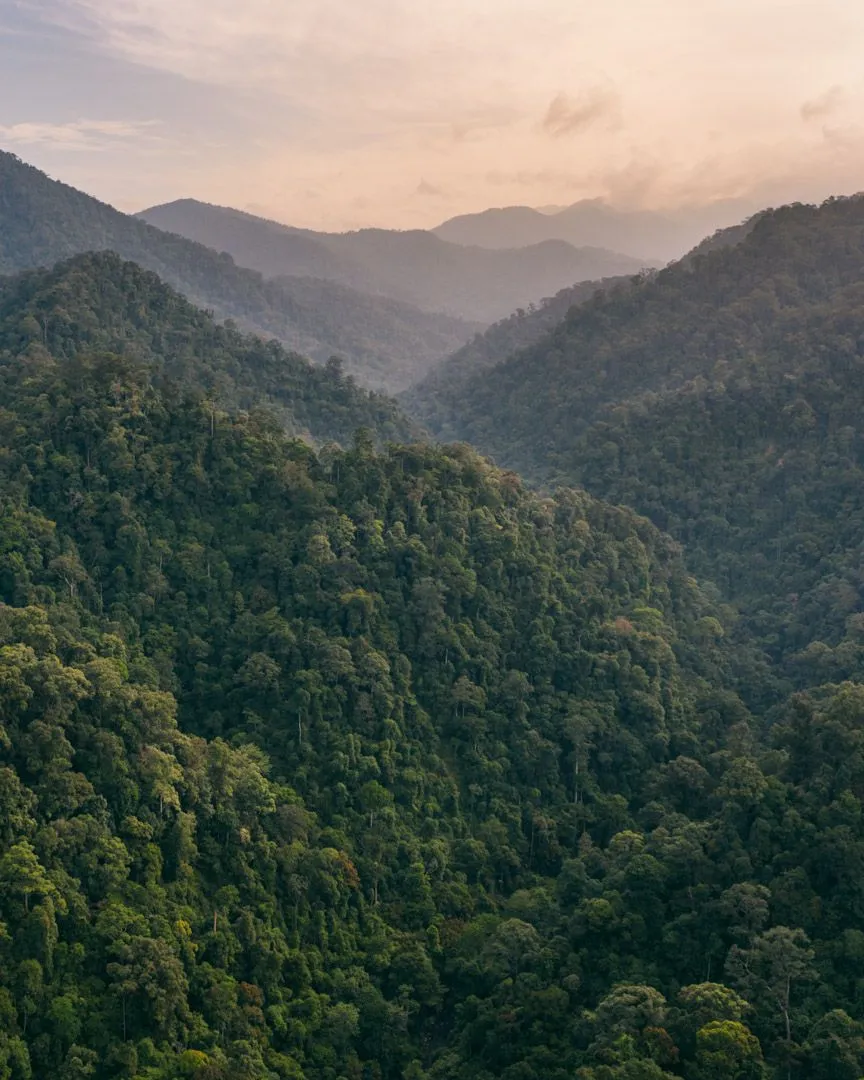 Mountain Wallpapers River Cuts Through Rocks HD Wallpaper