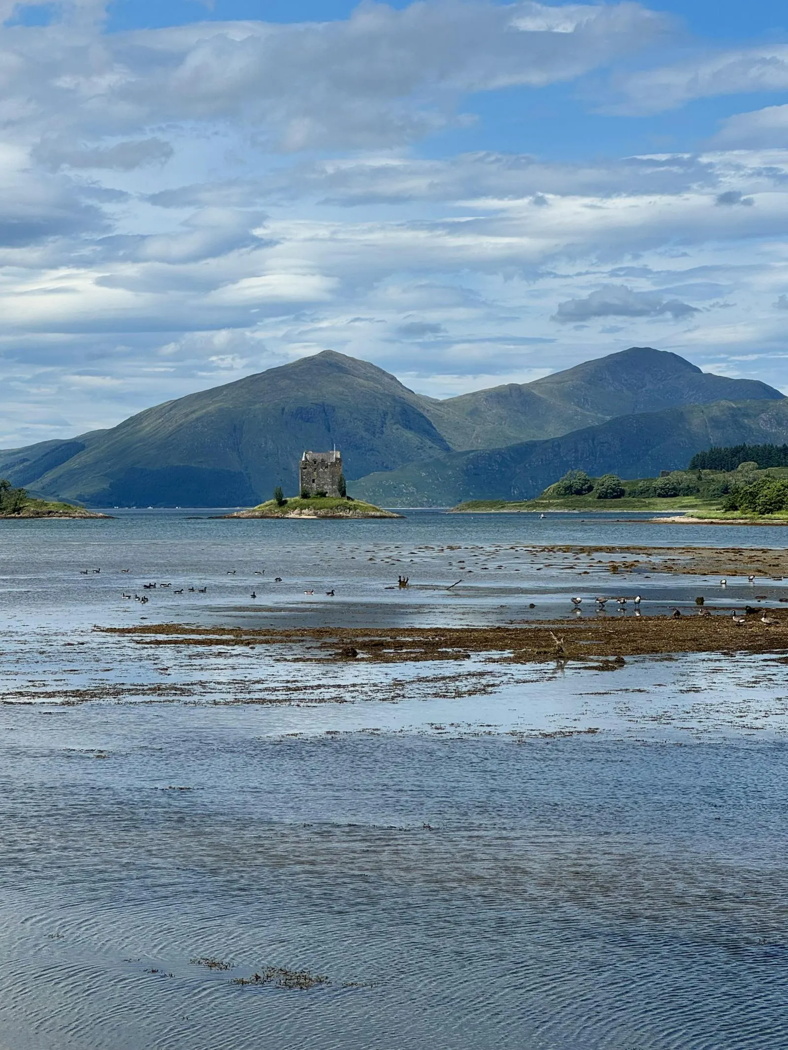 Mountain Island with a Beach During Low Ocean Tide Wallpaper