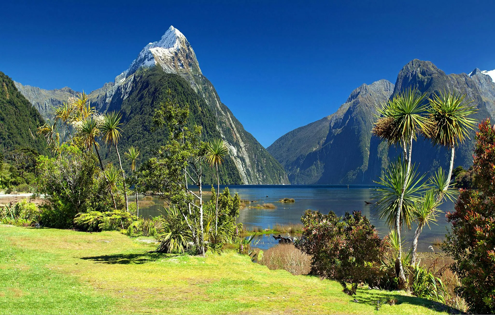 Mountain Landscape Near a Blue Lake and Tropical Plants