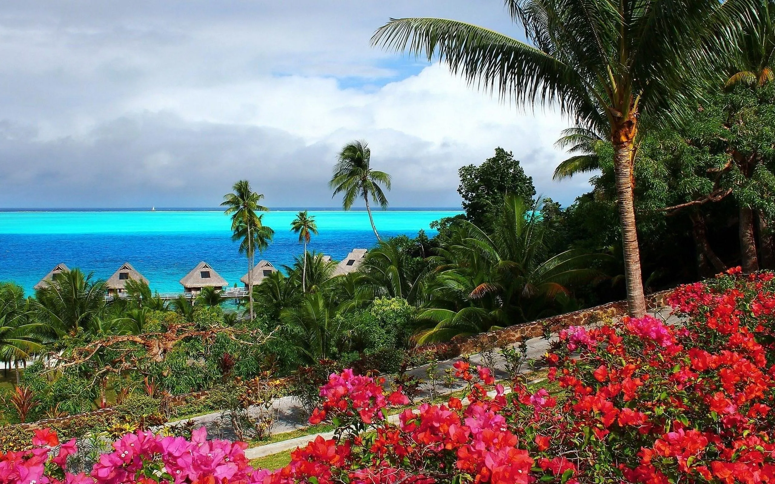 Ocean View with Palm Trees and Colorful Flowers Wallpaper