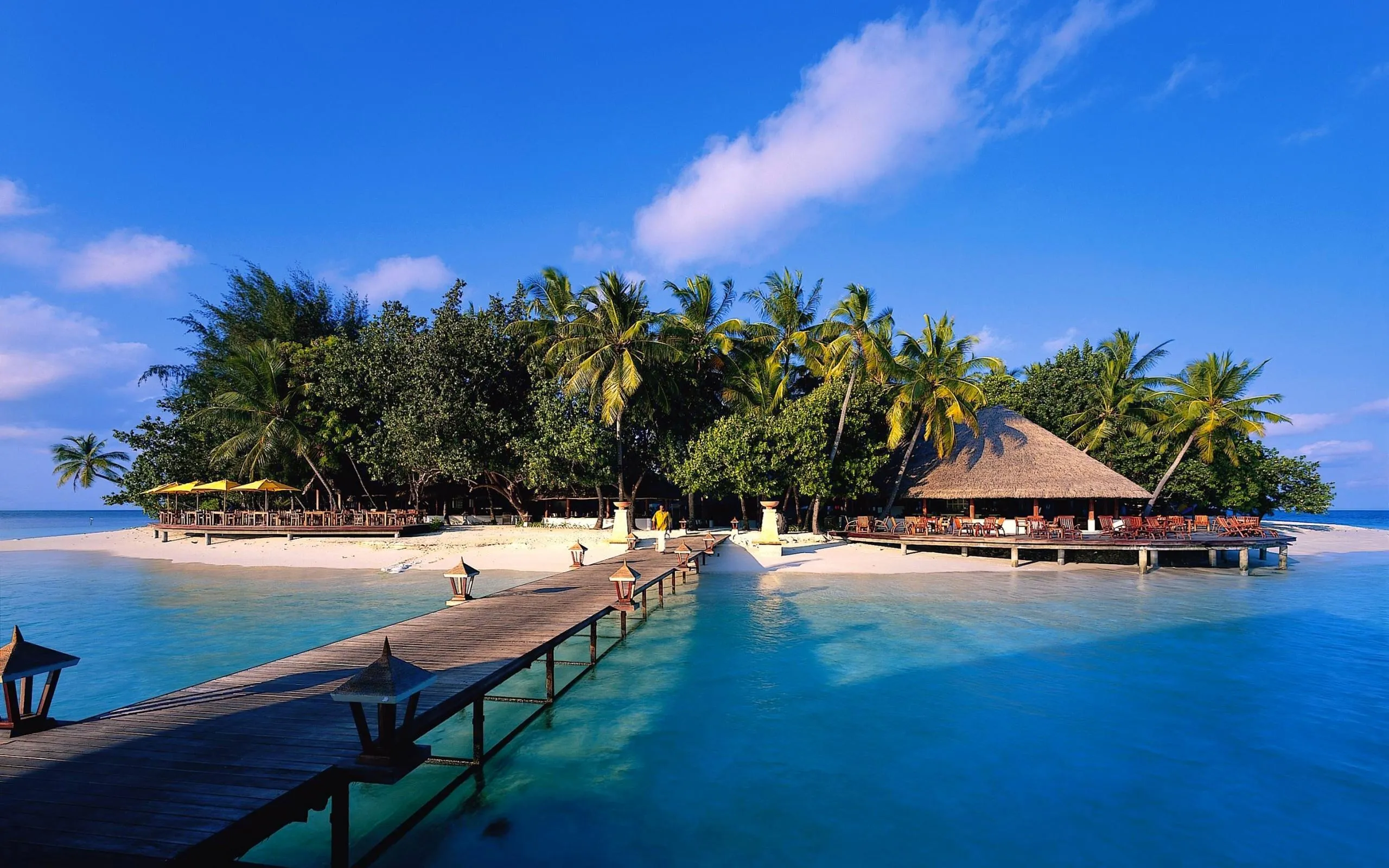 Overwater Bungalows on the Blue Sea with Tropical Trees