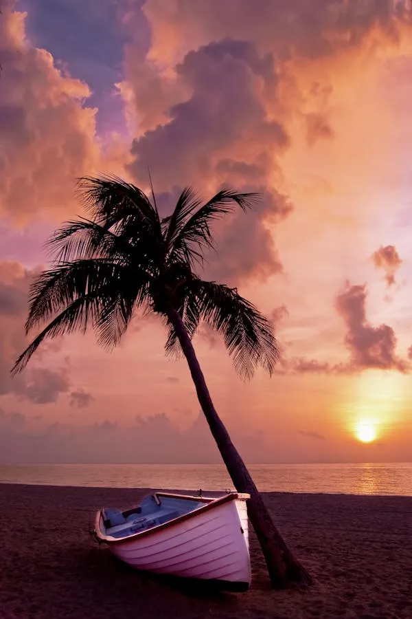 Palm Tree Lying Near a Boat at Sunset on a Tropical Beach