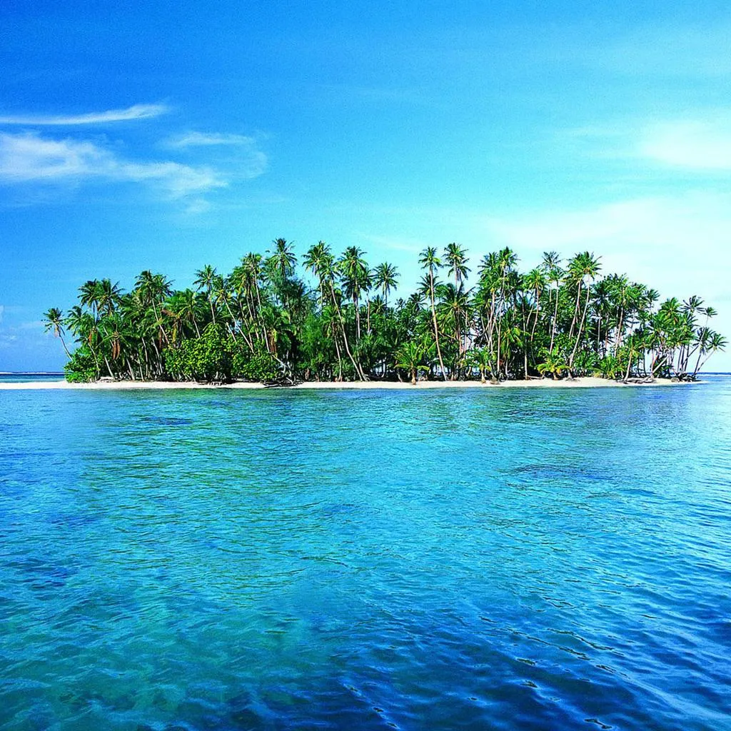 Palm Trees on a Peaceful Island Surrounded by Clear Water