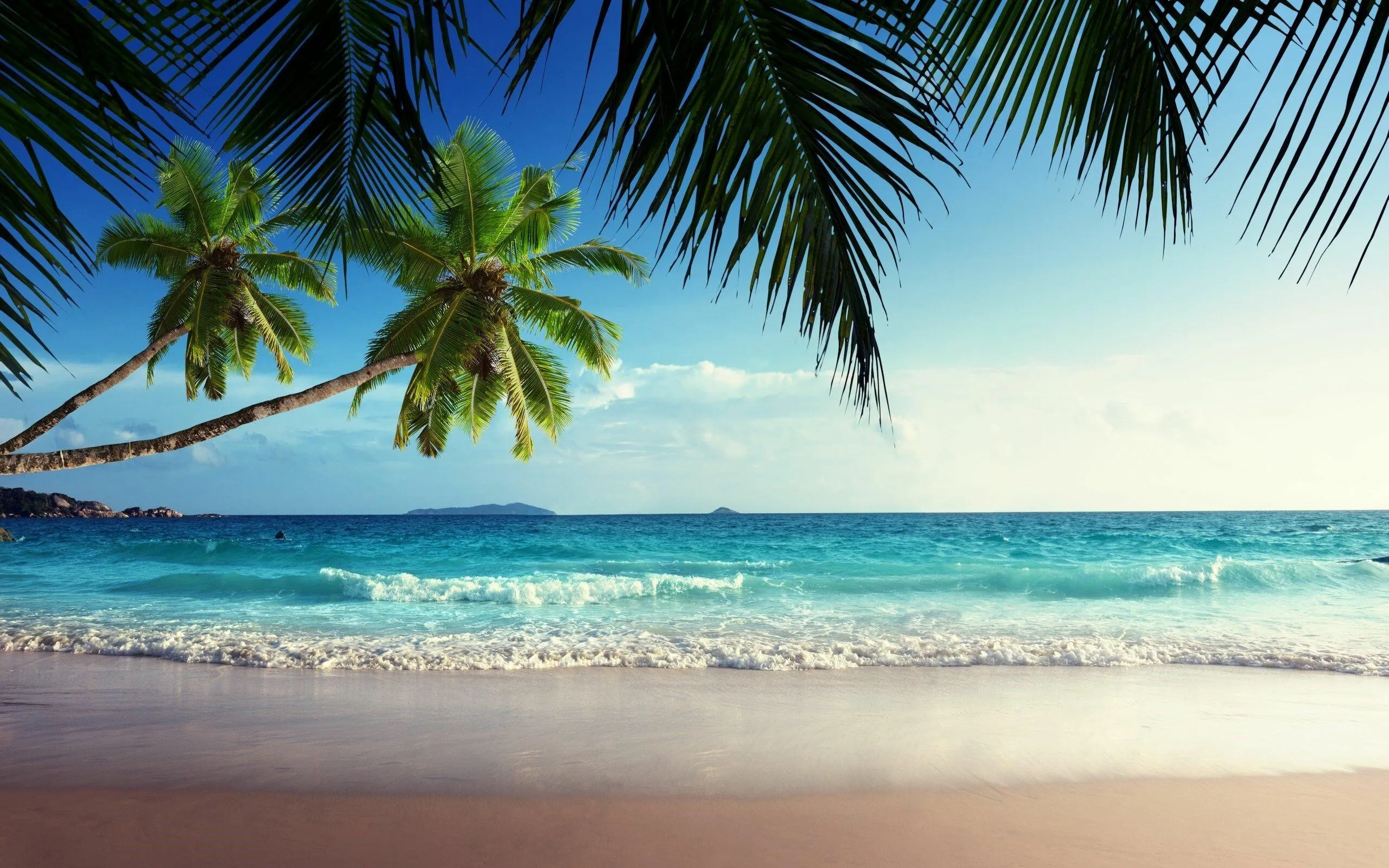 Palm Trees and Soft Waves Under a Bright Blue Sunny Sky