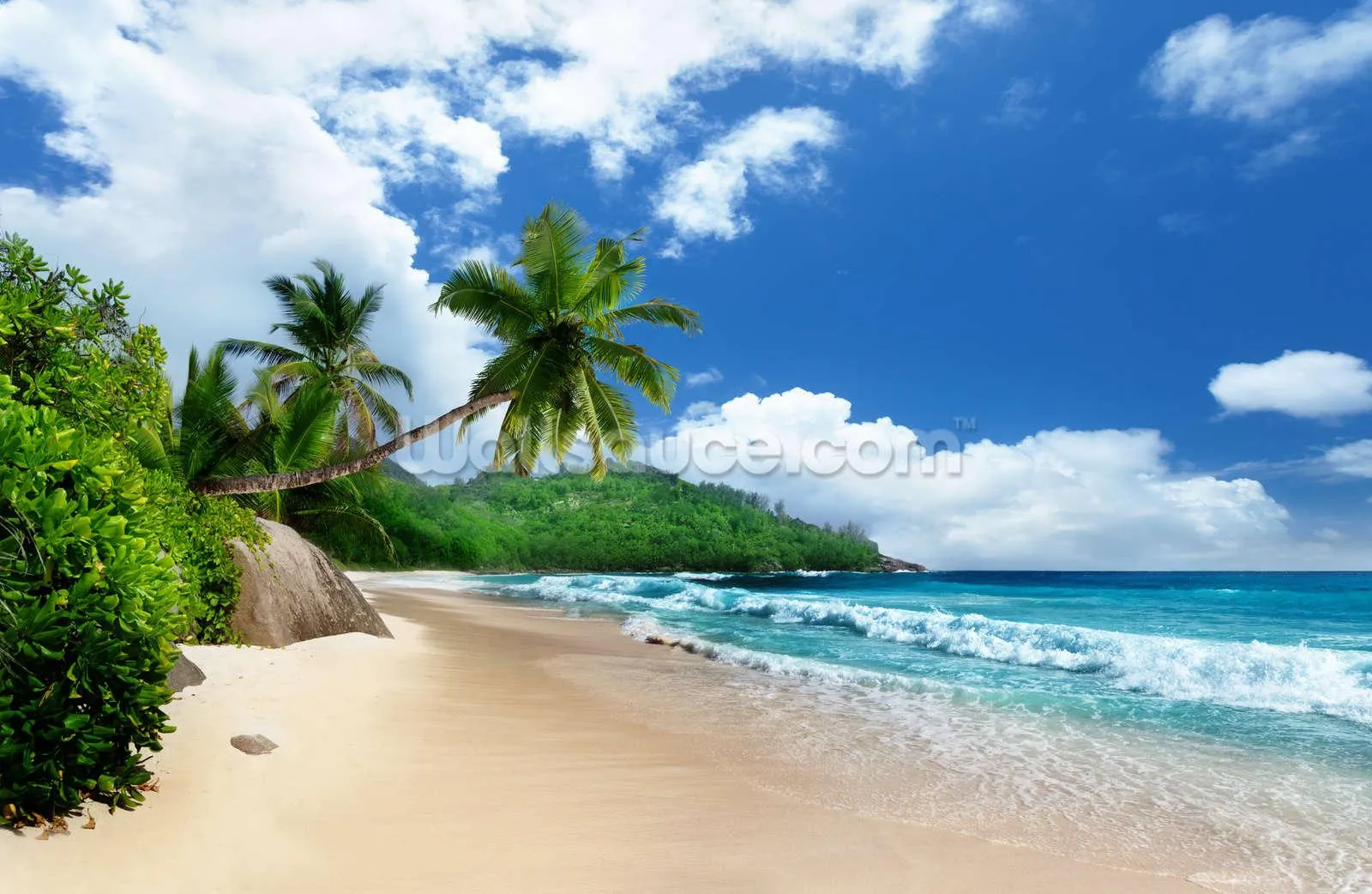 Peaceful Sandy Beach with Palm Trees and Bright Blue Sky