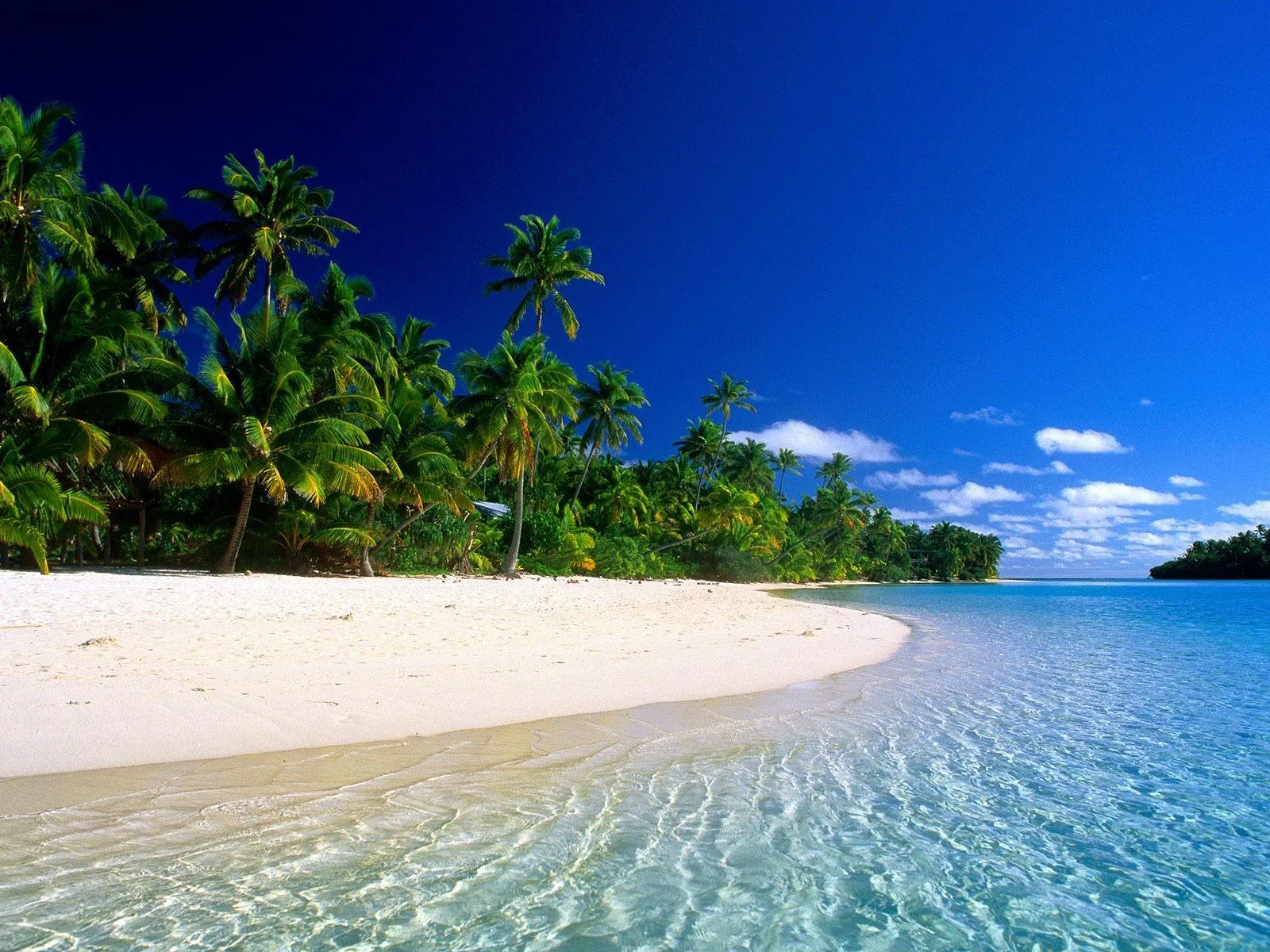 Peaceful White Sandy Beach with Palm Trees and Sky Wallpaper