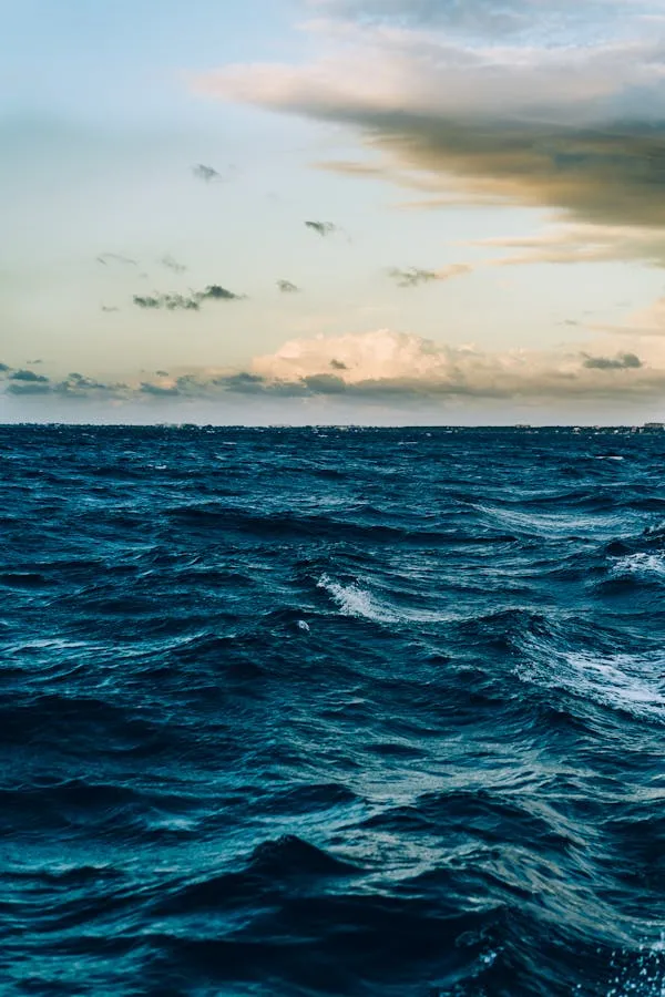 Portrait Image of the Ocean with Blue Sky and Gentle Waves