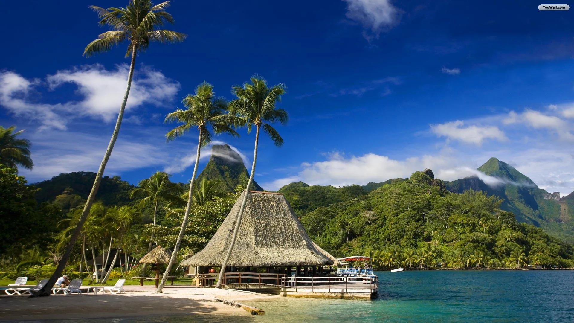 Relaxing Hammock Under Palm Trees with Mountain View