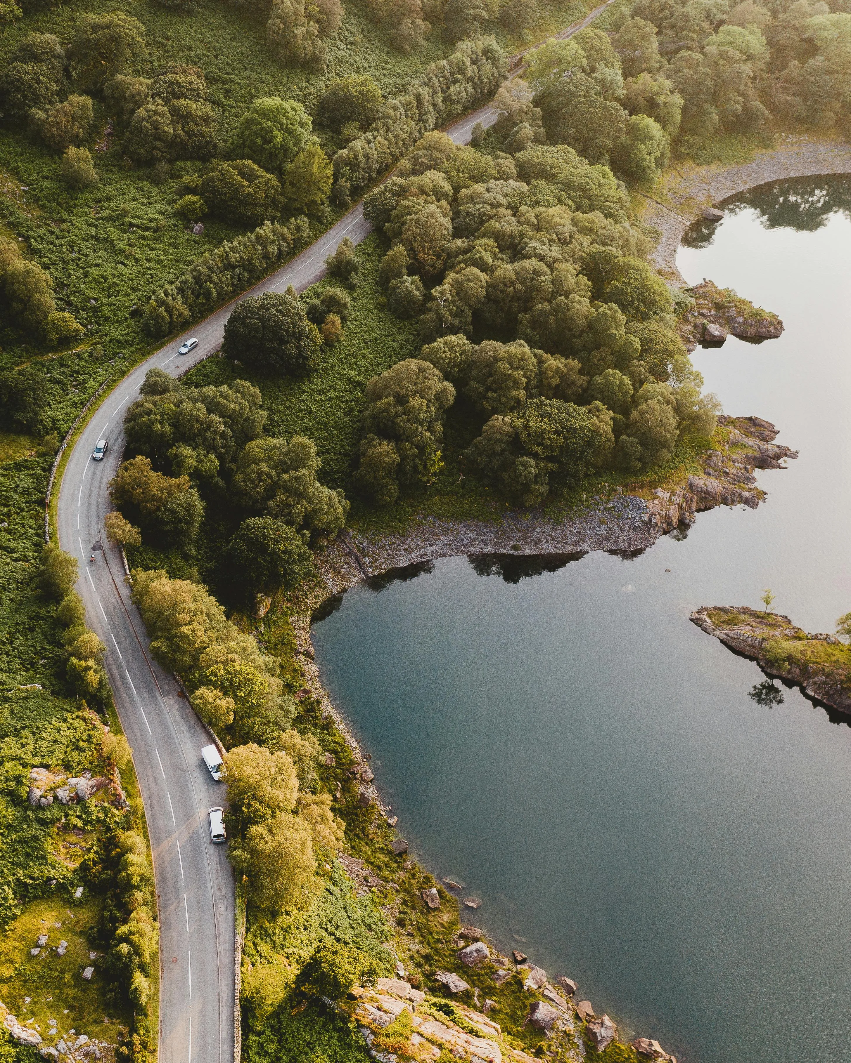 Road Through a Green Dense Forest Near a Lake Wallpaper