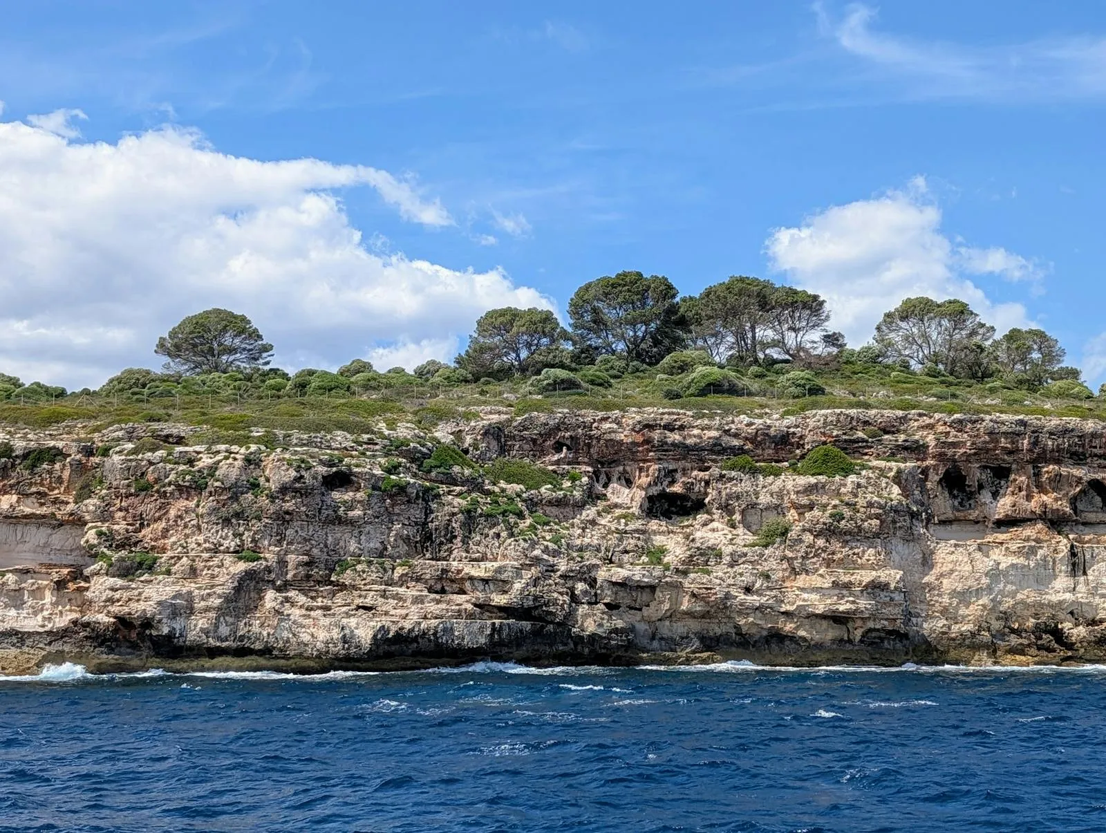 Rugged Cliffside with Trees Facing the Open Ocean Wallpaper
