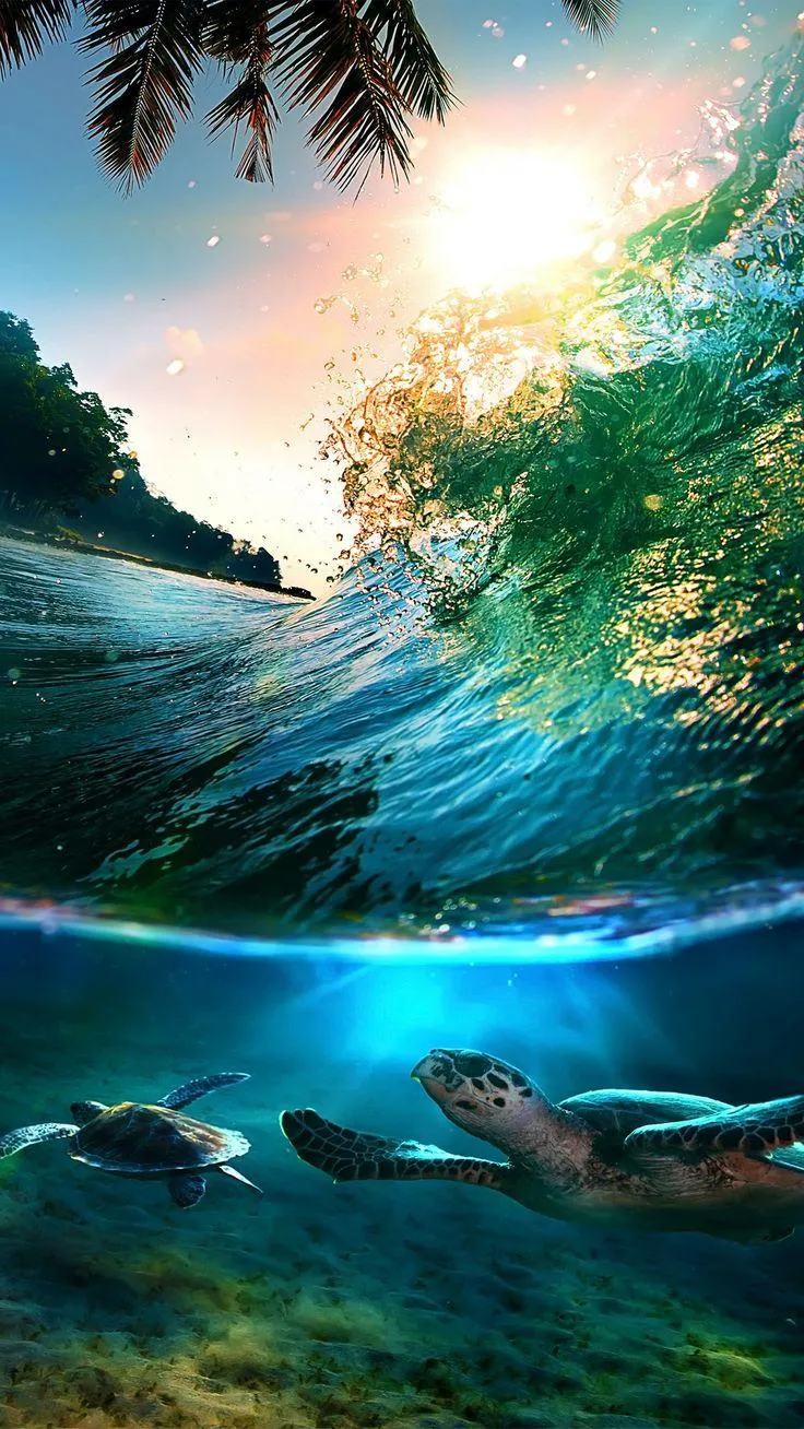 Sea Turtles Swimming Under a Breaking Ocean Wave Wallpaper