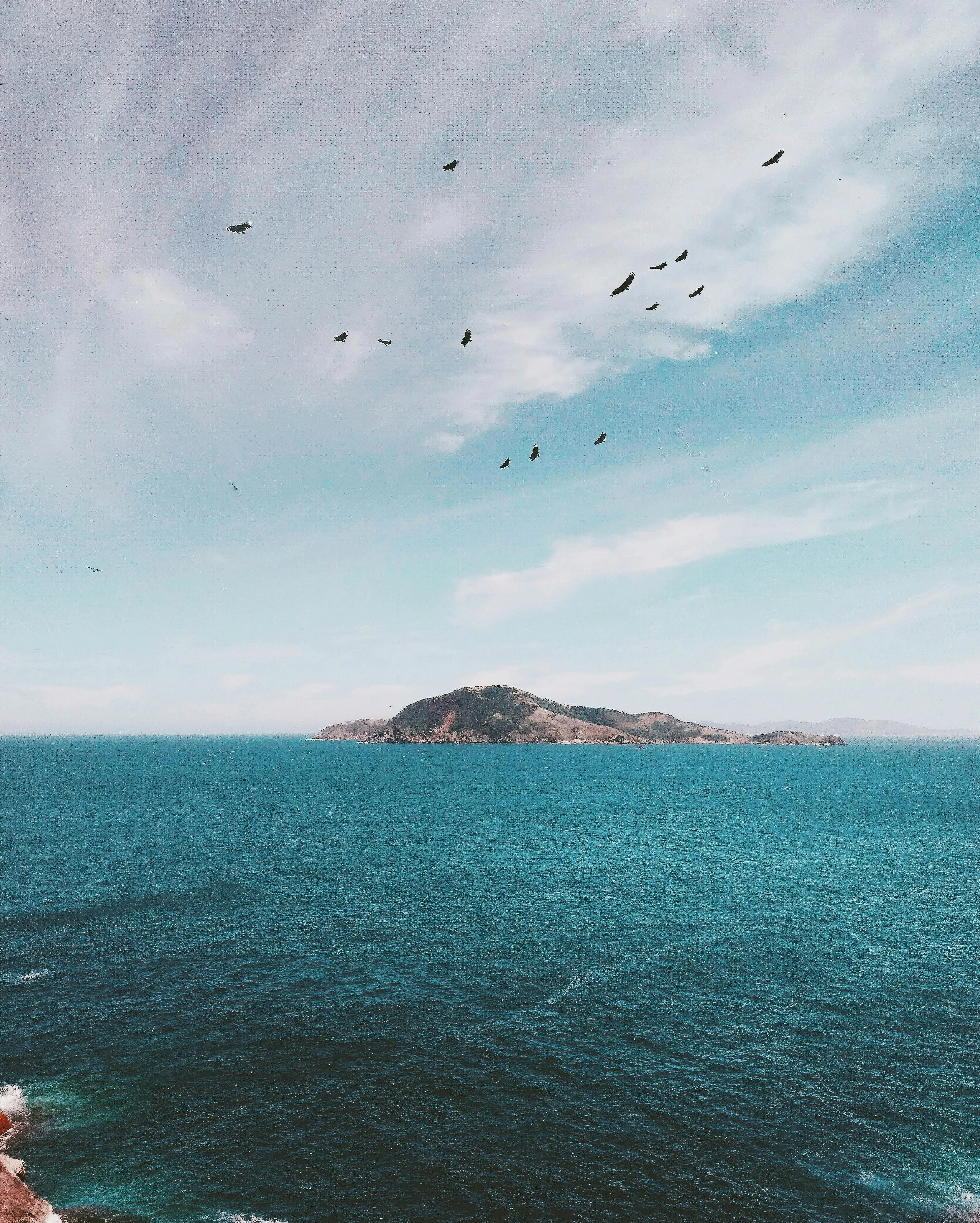 Seagulls Flying over a Deep Blue Sea in a Lone Island