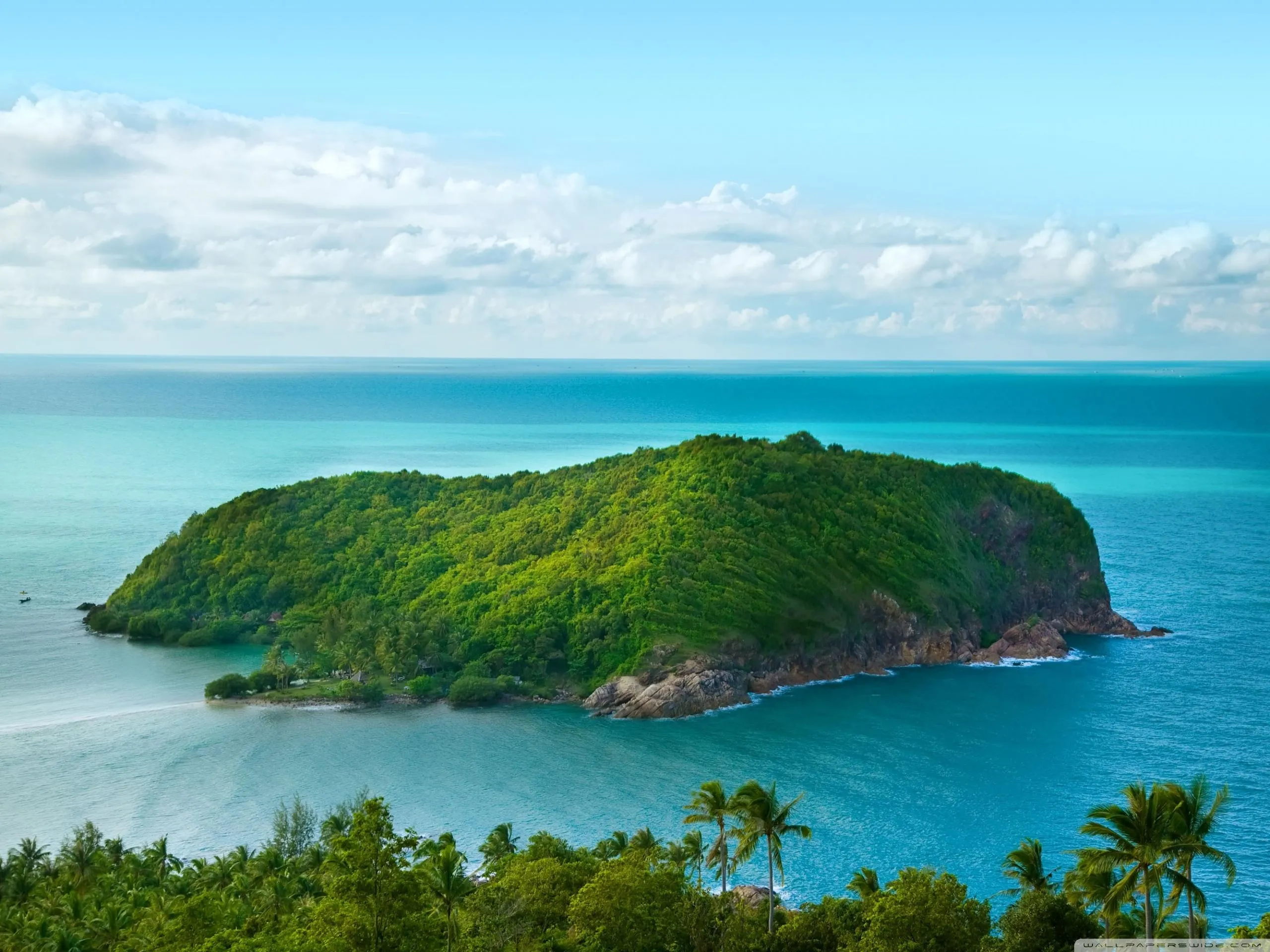 Small Green Island Surrounded by Blue Ocean Water Wallpaper