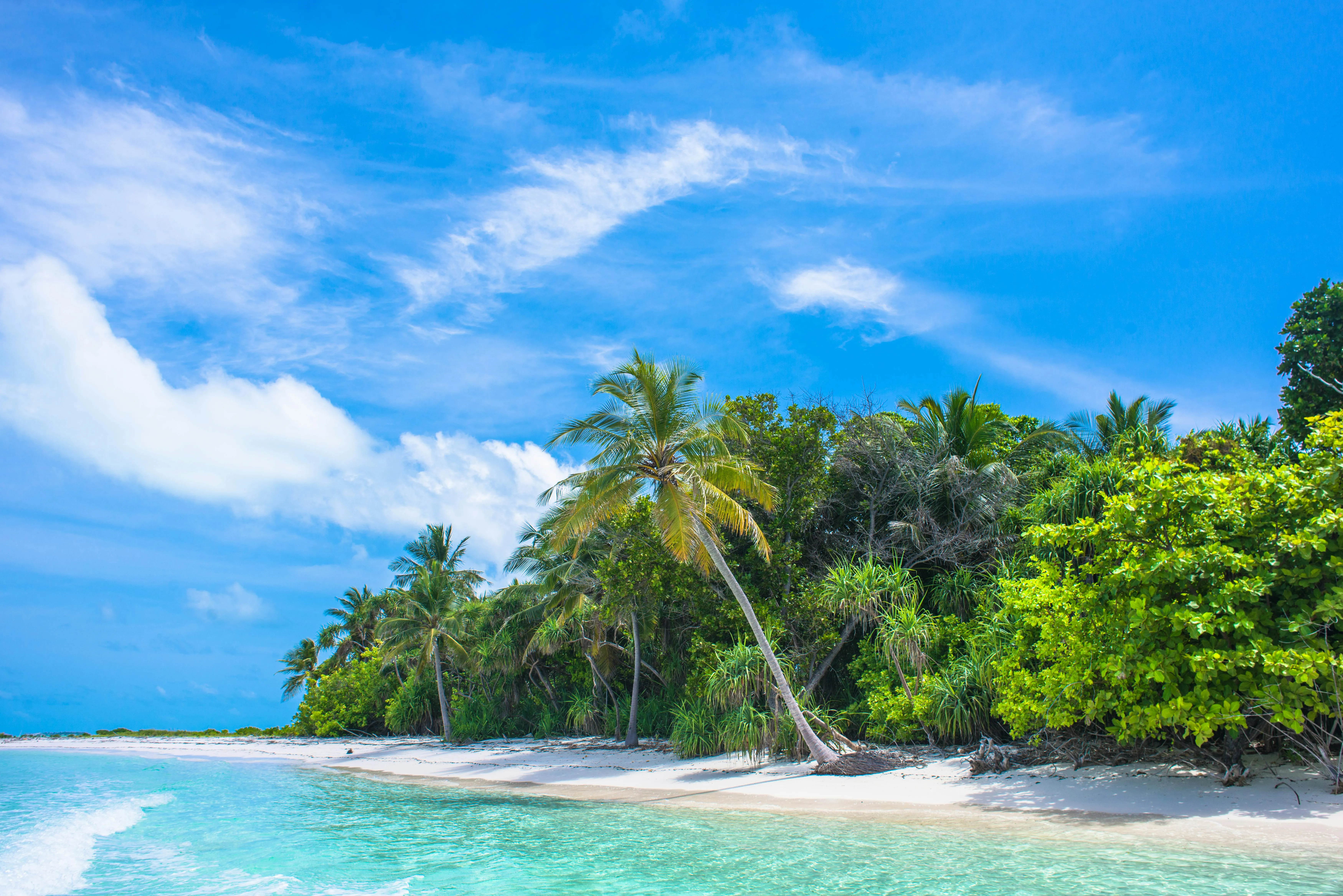 Small Island with Palm Trees Surrounded by a Bright Ocean