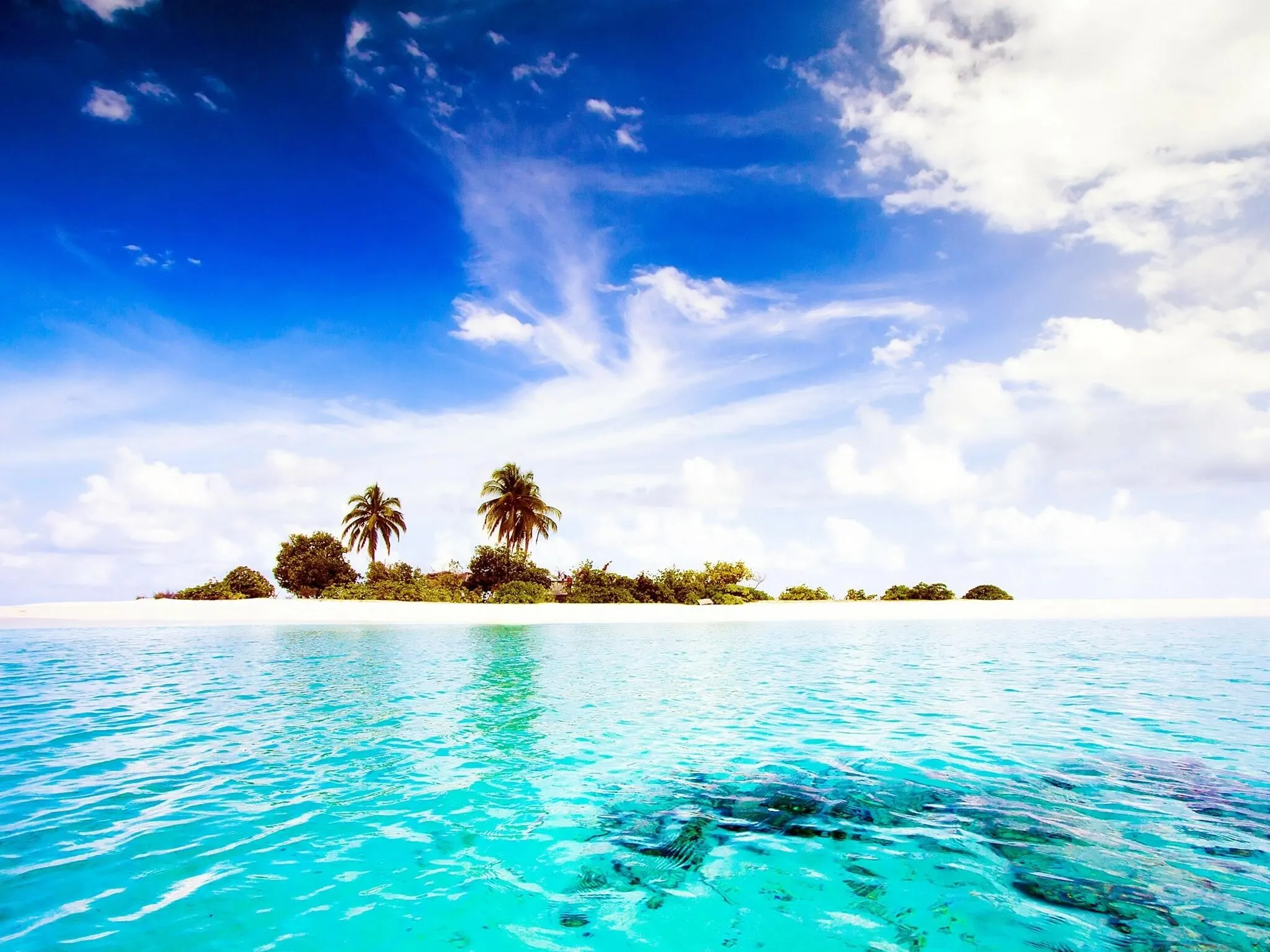 Small Palm Tree Island Floating on Clear Sparkling Water