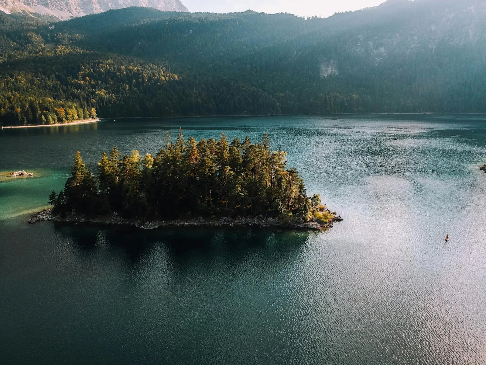 Small Peaceful Island Covered with Trees in the Lake
