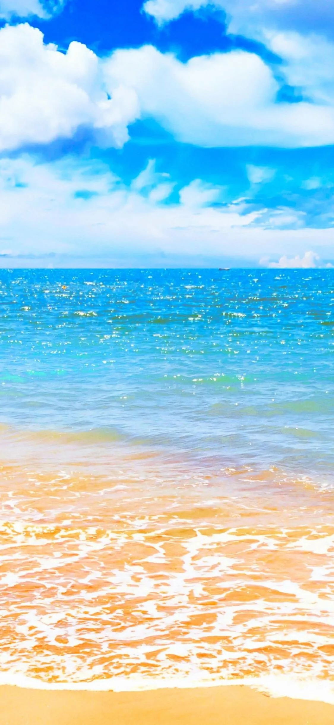 Soft Sandy Shore with Golden Water Under Blue Sky Wallpaper